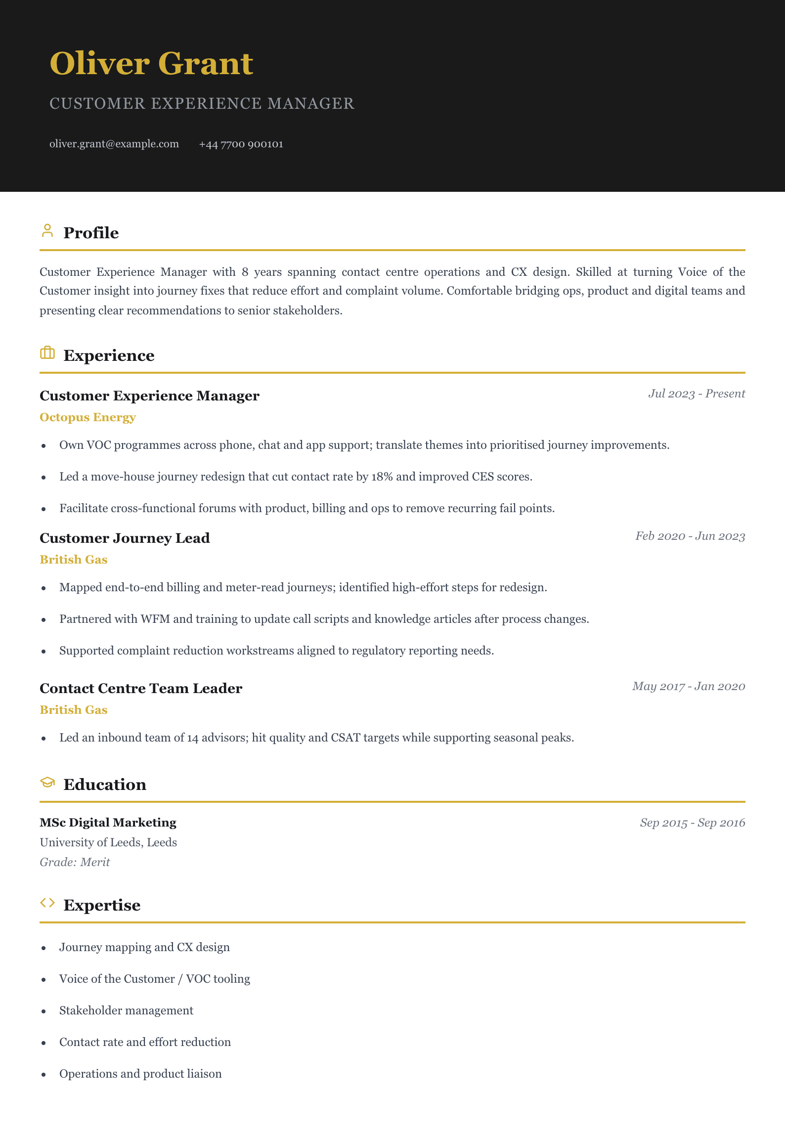 customer experience manager cv template