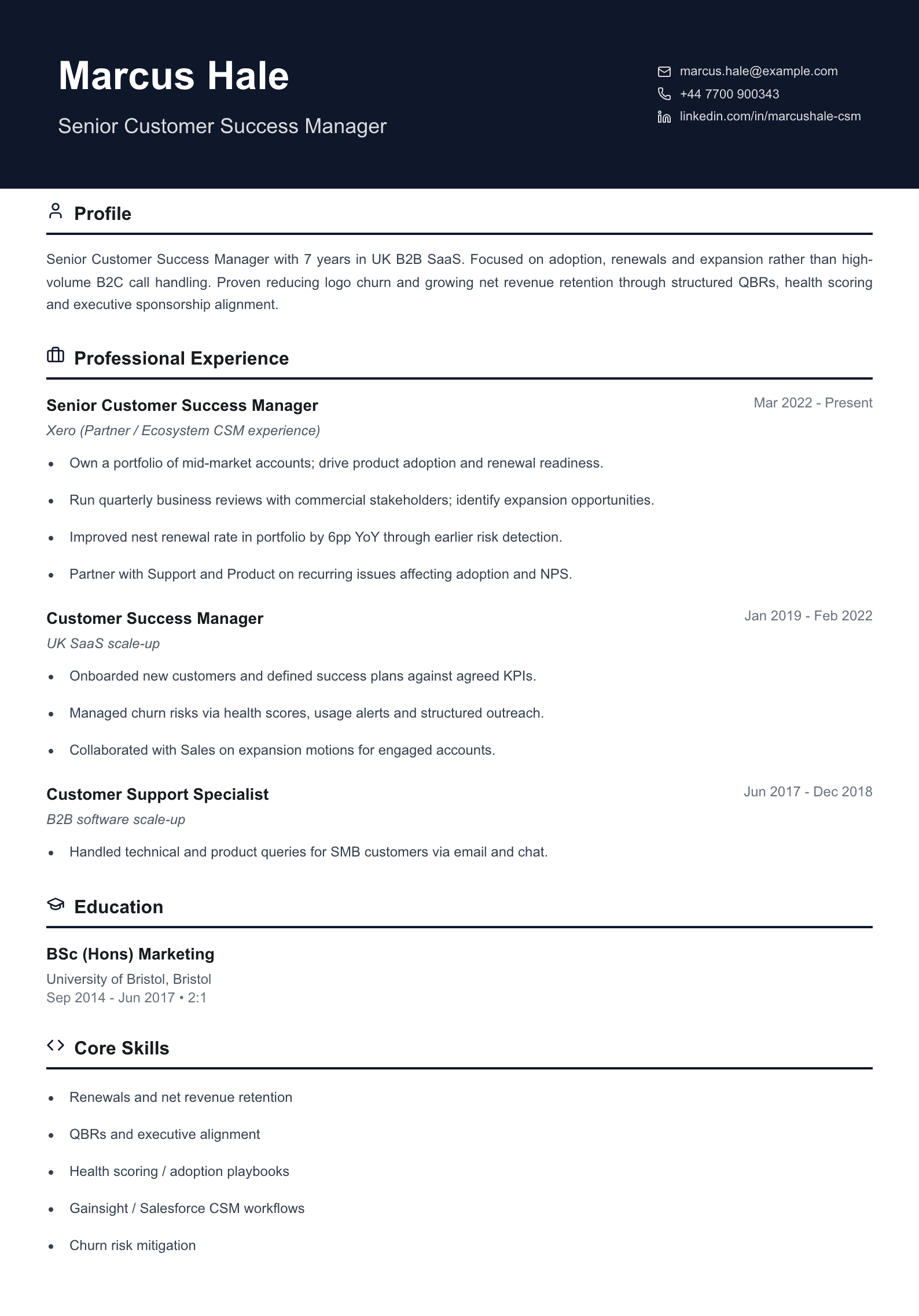 senior customer success manager cv template