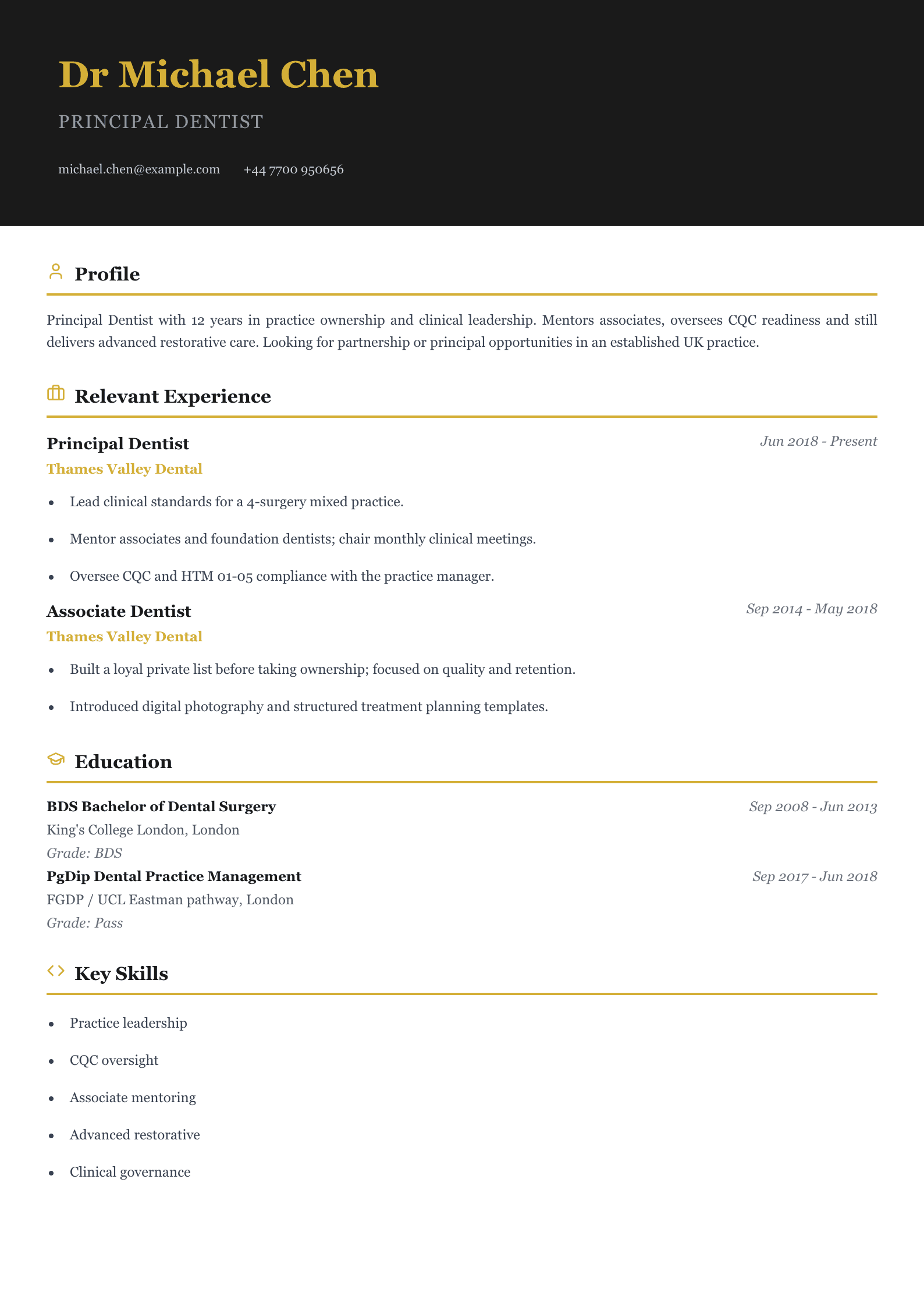 practice principal dentist cv template