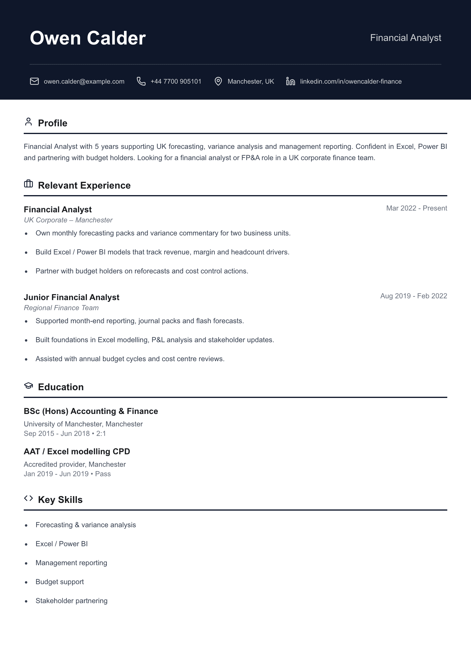 Financial analyst CV template