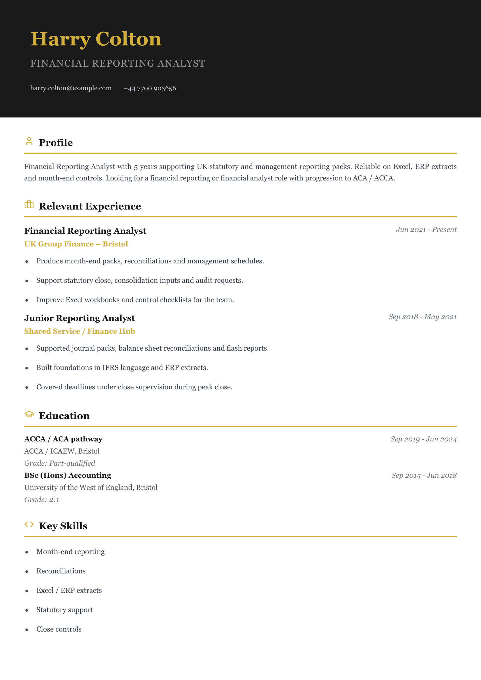 financial reporting analyst CV template
