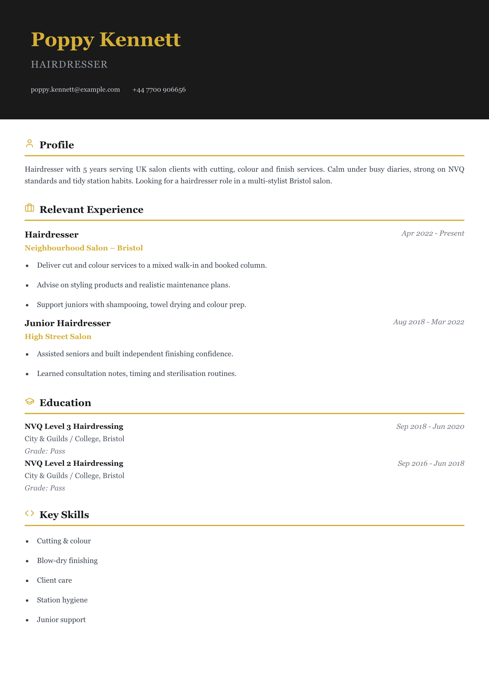 salon hairdresser CV template