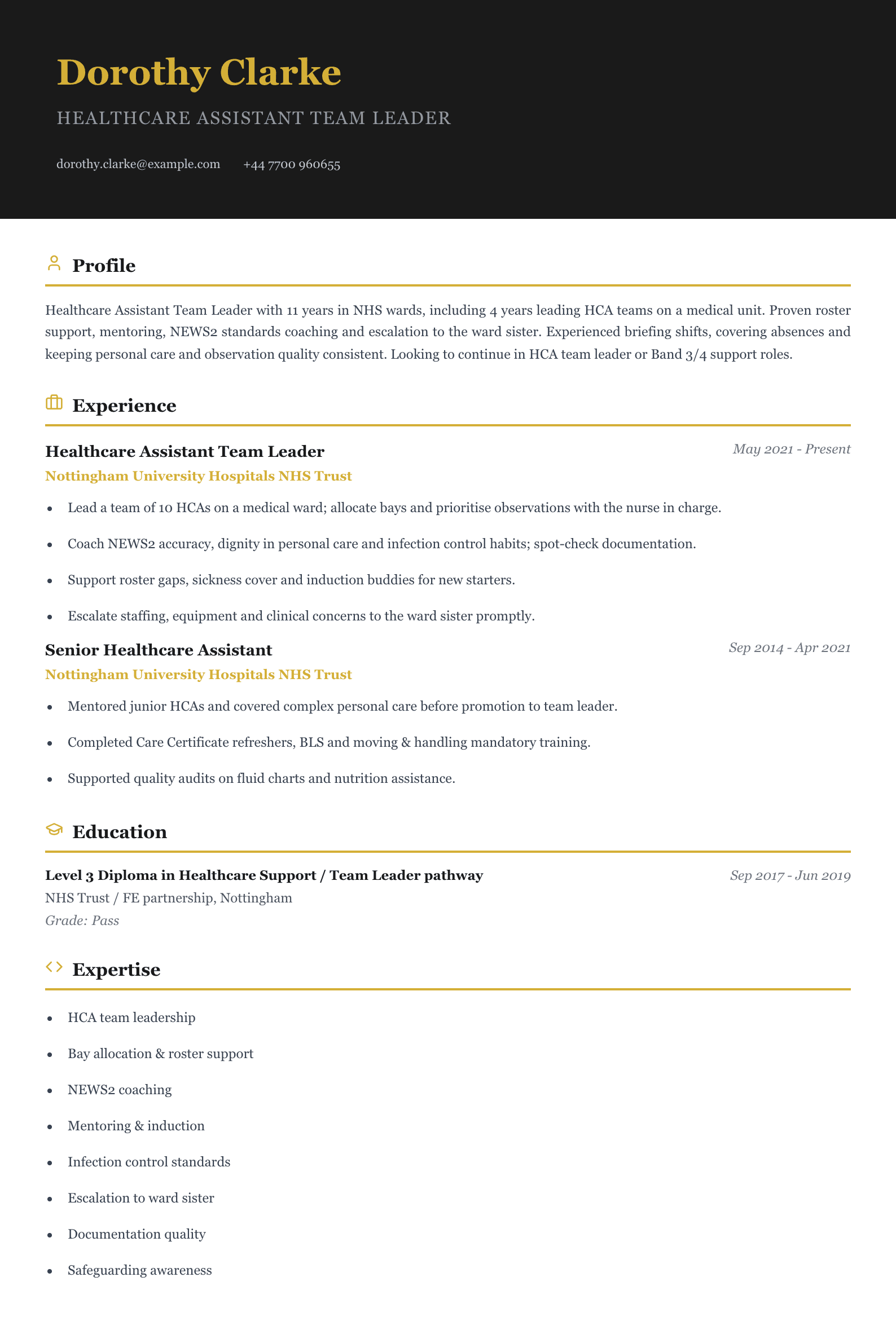 healthcare assistant team leader cv template