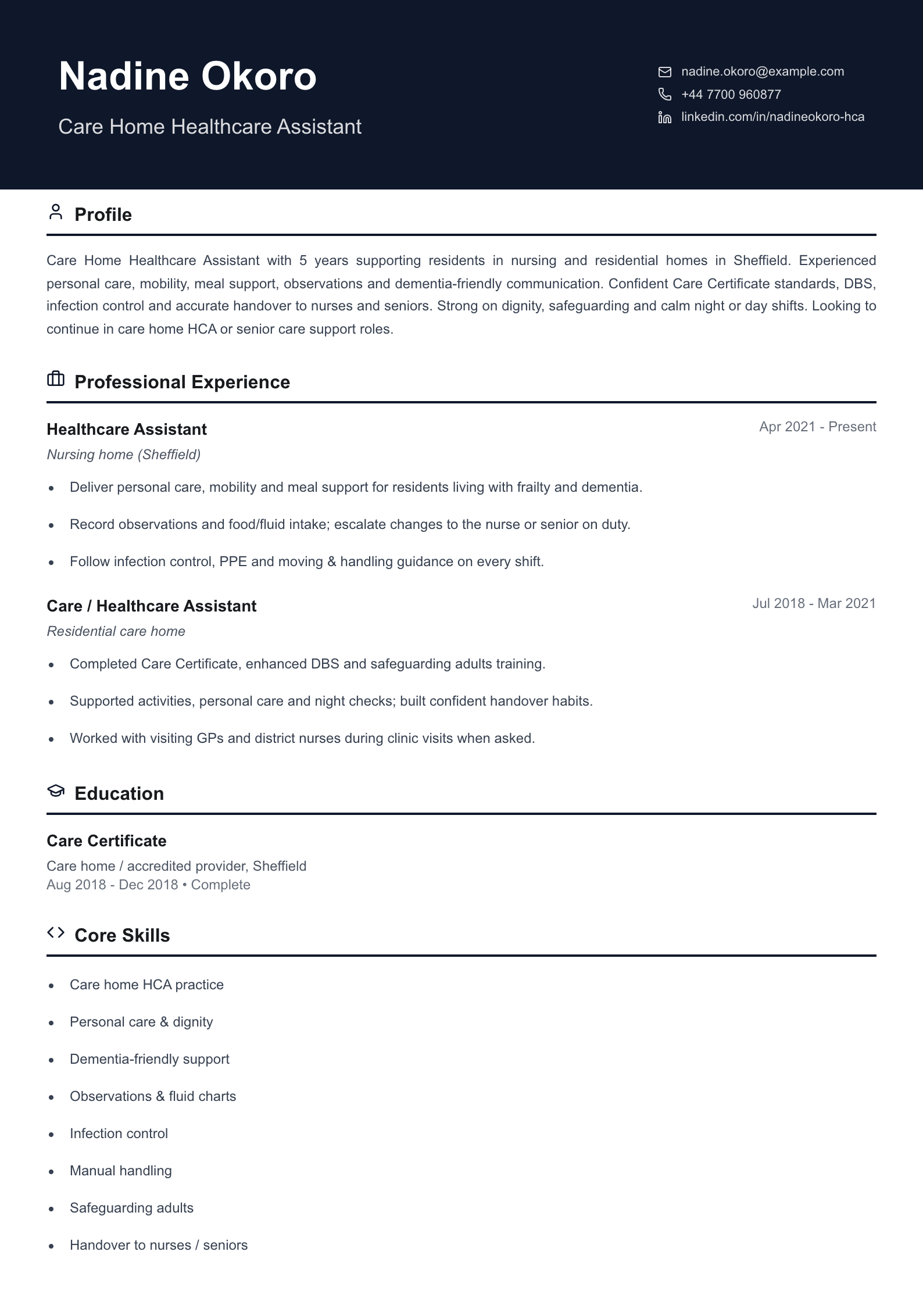 care home healthcare assistant cv template