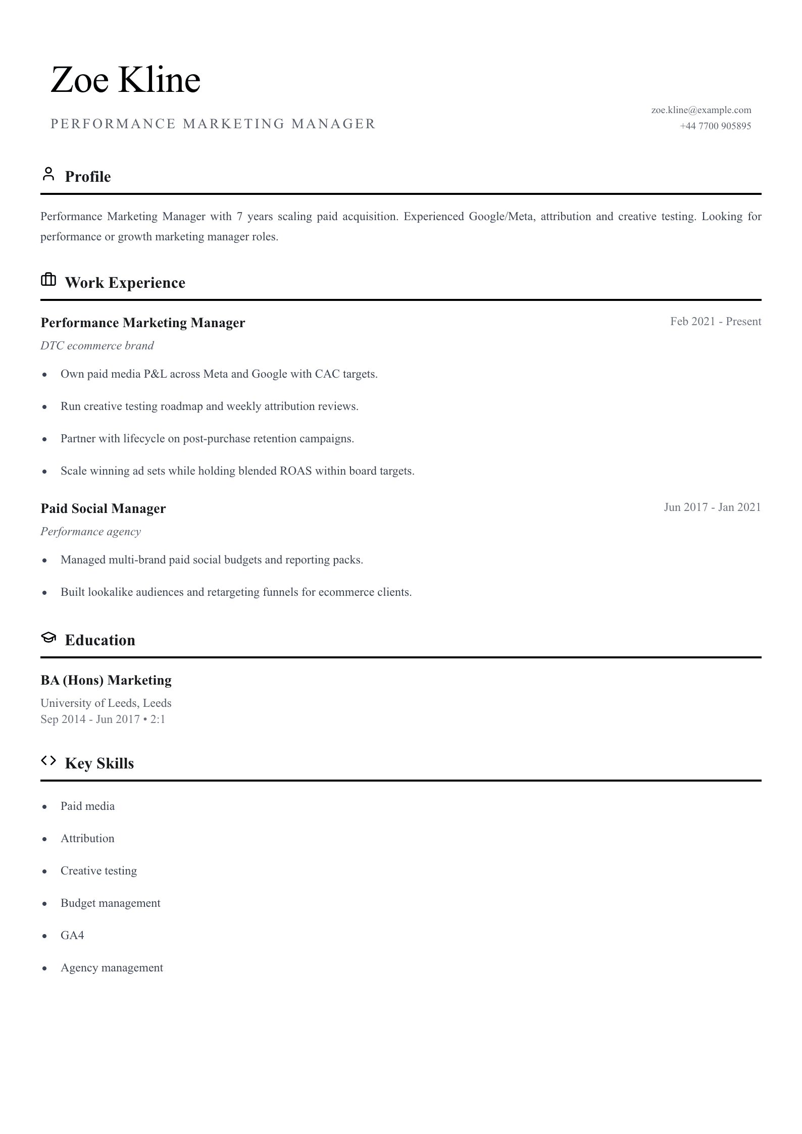 performance marketing manager cv template