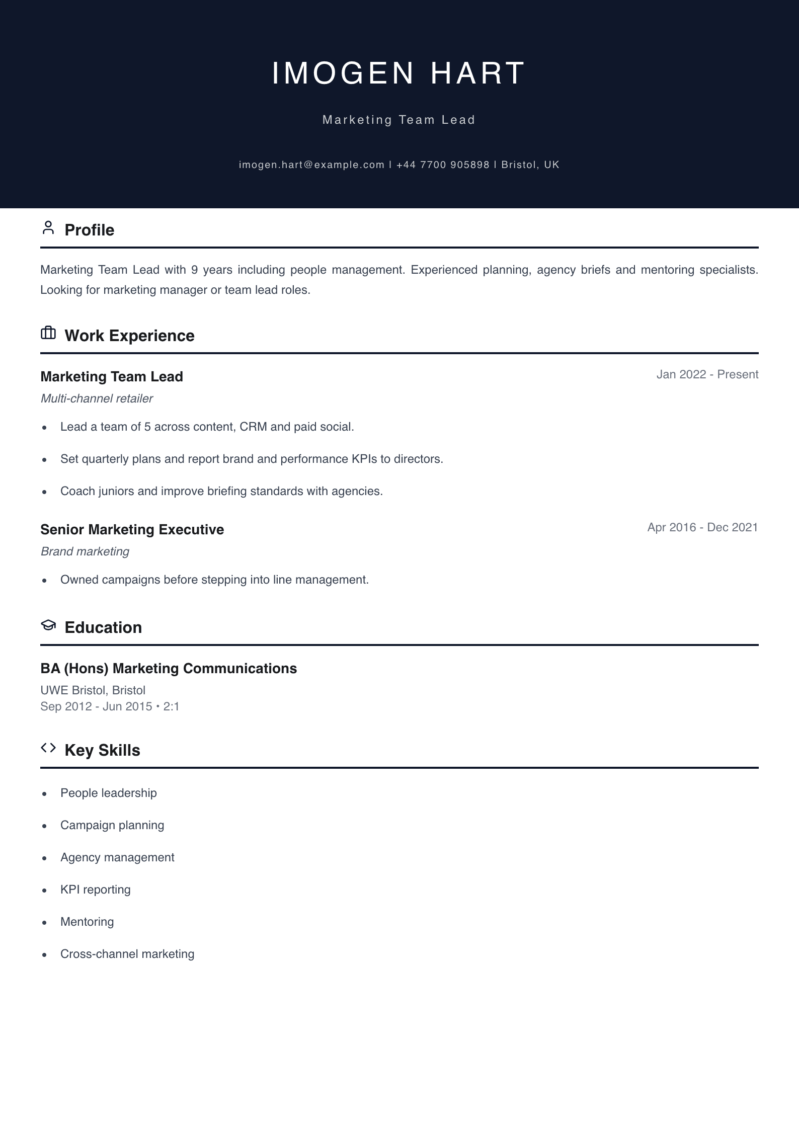 marketing team lead cv template