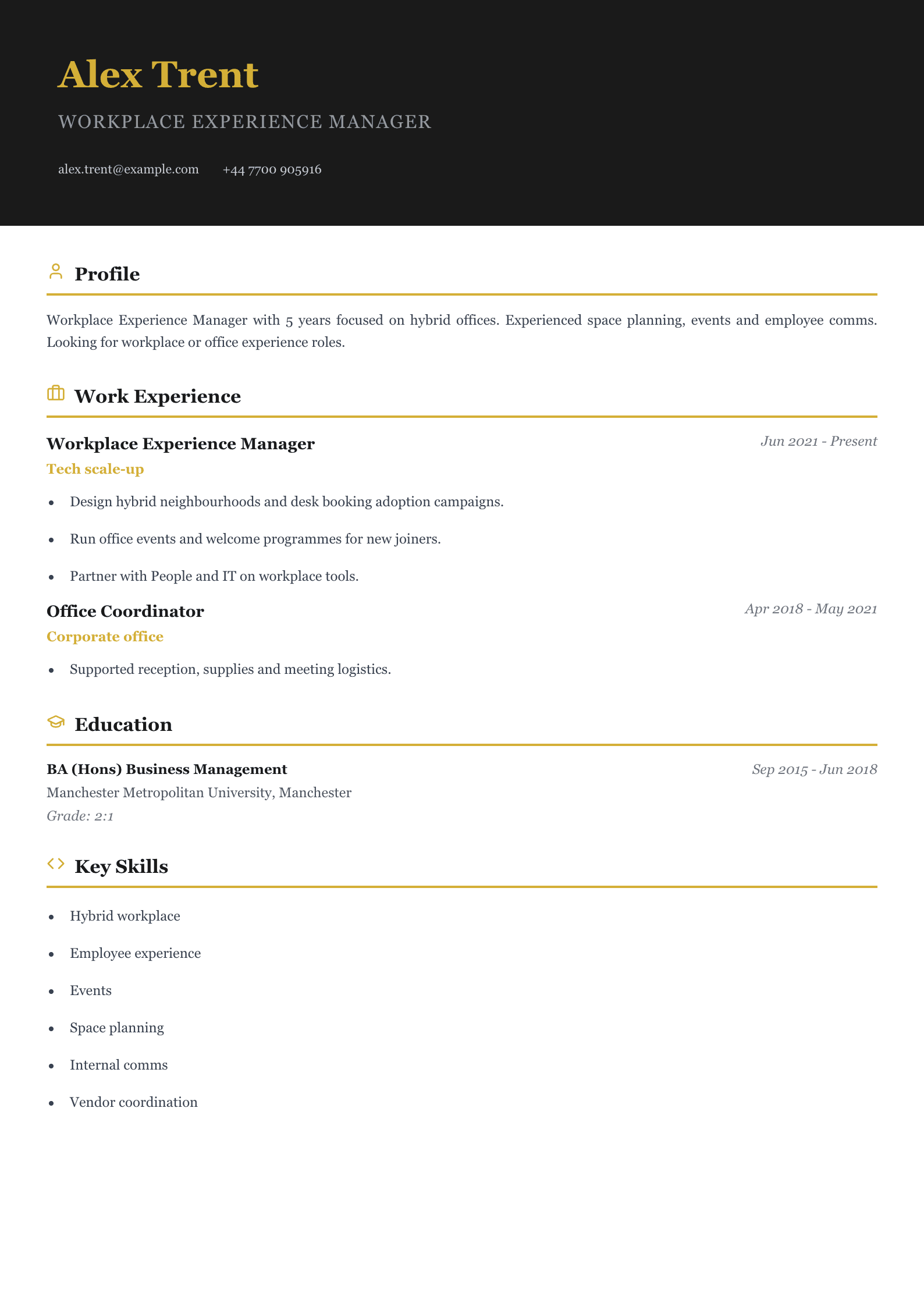 workplace experience manager cv template