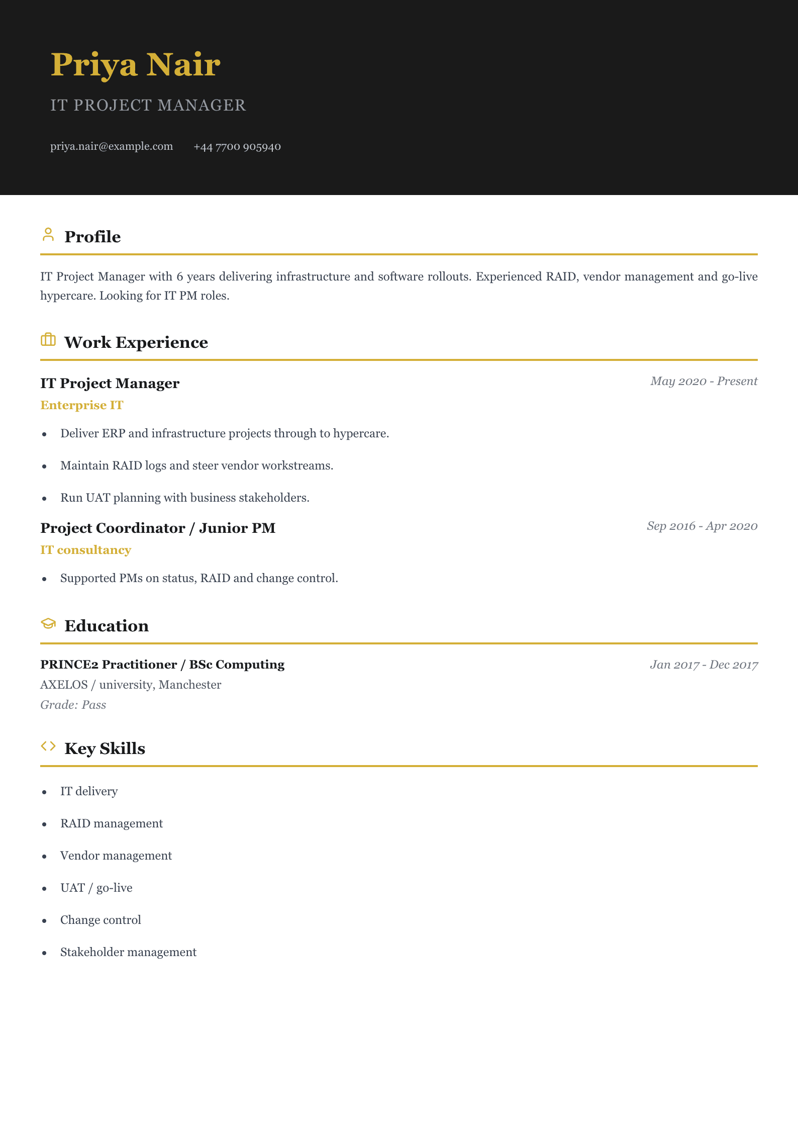enterprise it project manager cv template