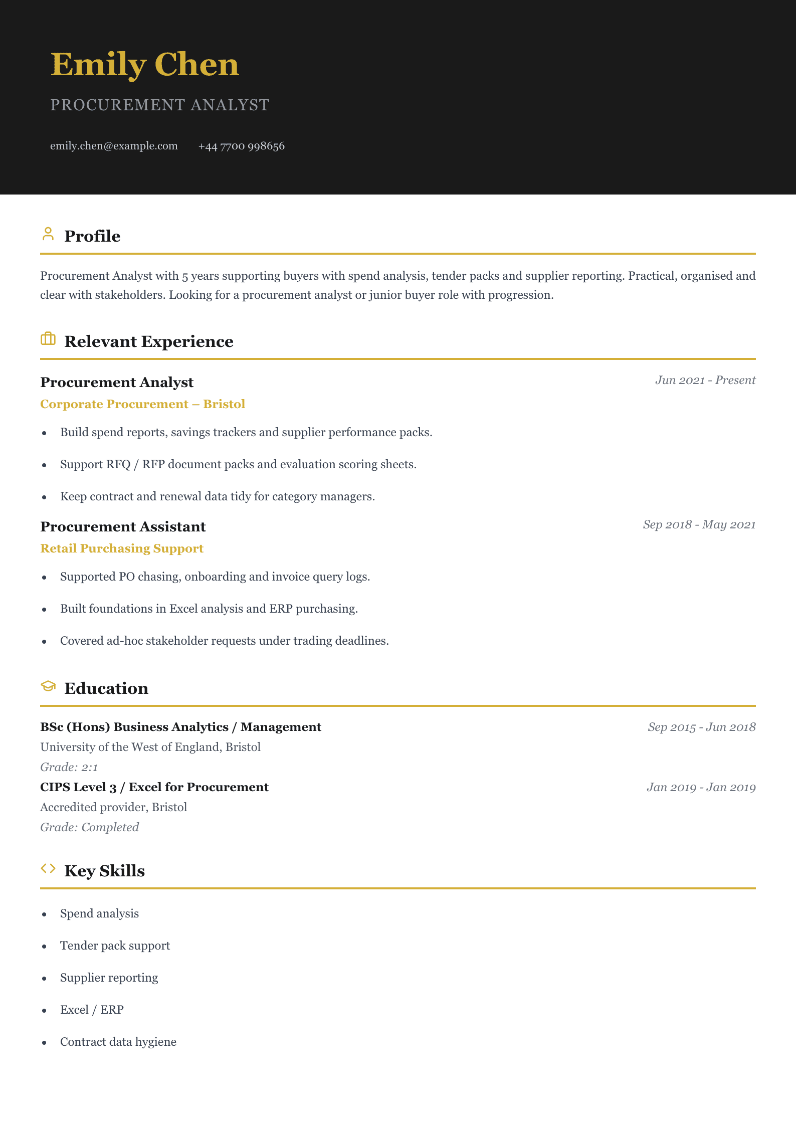 procurement analyst CV template