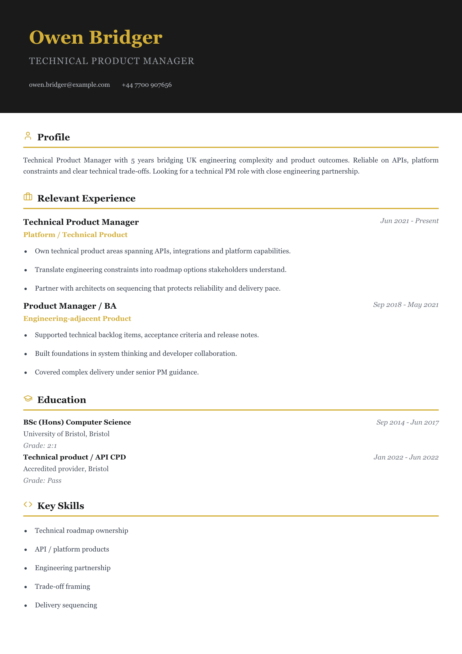 technical product manager CV template