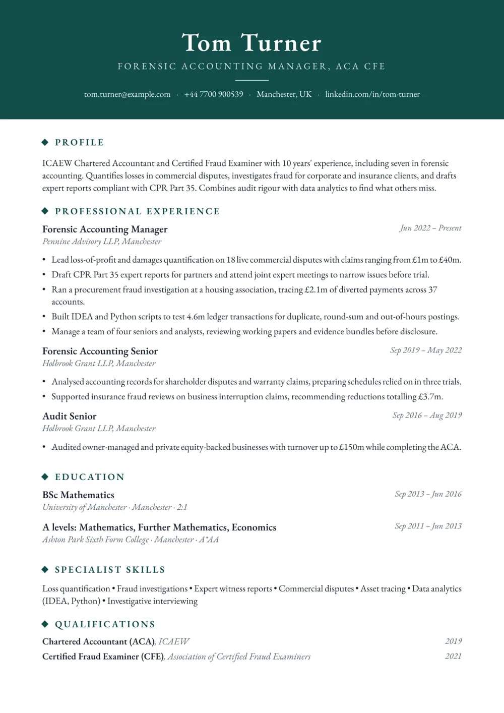 forensic accountant cv template