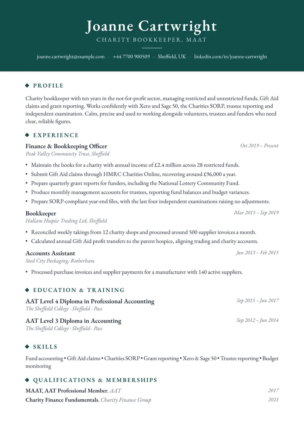 charity bookkeeper cv template
