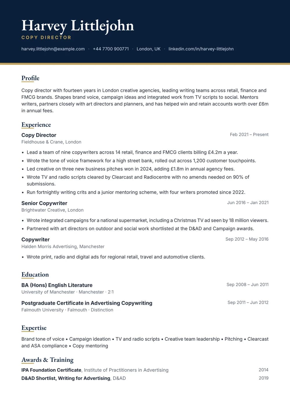 copy director cv template