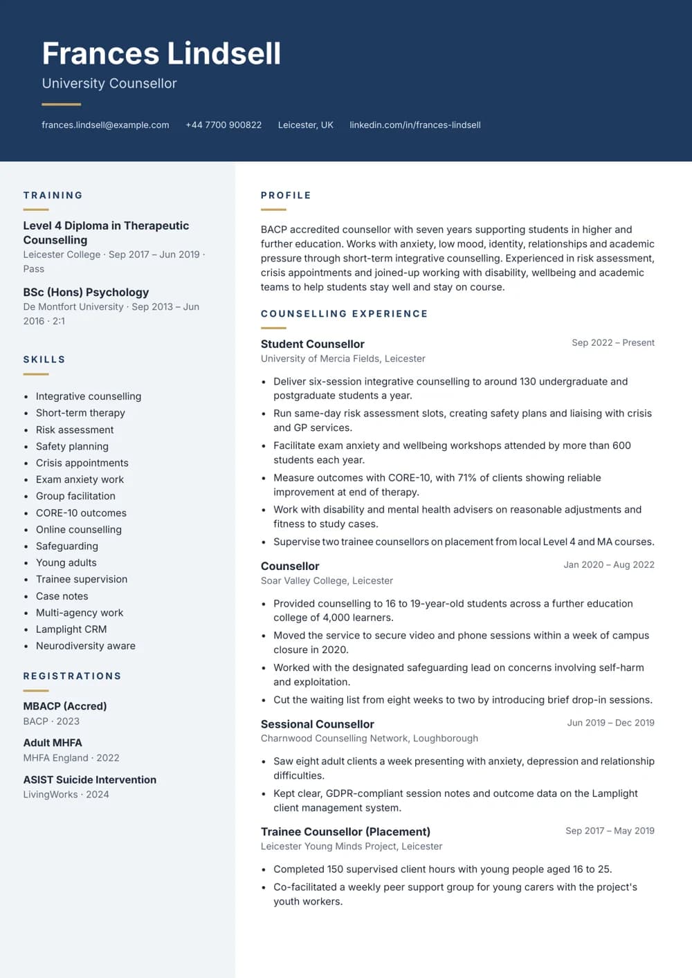 Student Counsellor CV template