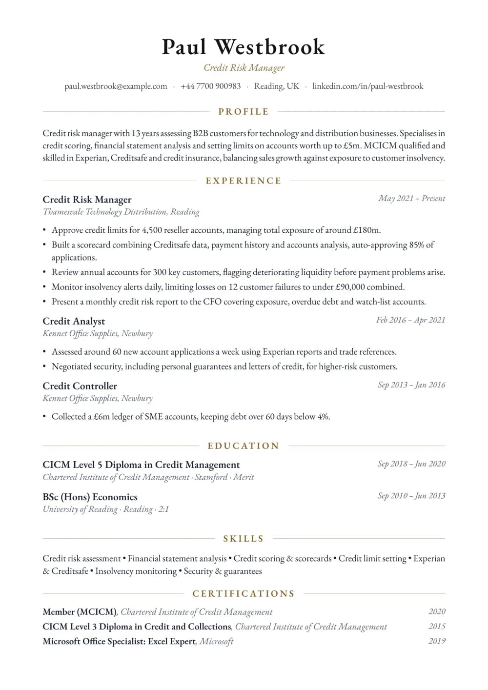 Credit Risk Manager CV template
