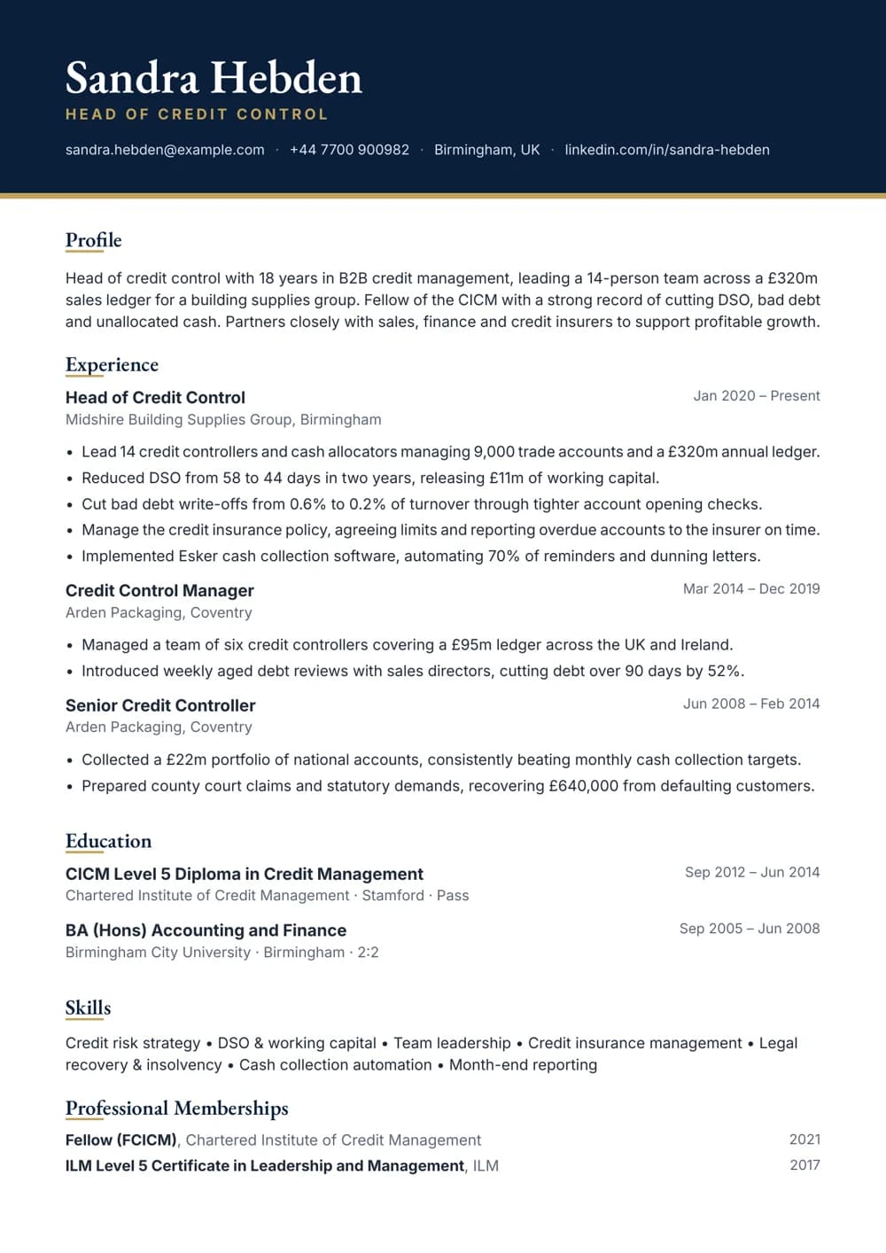 head of credit control cv template