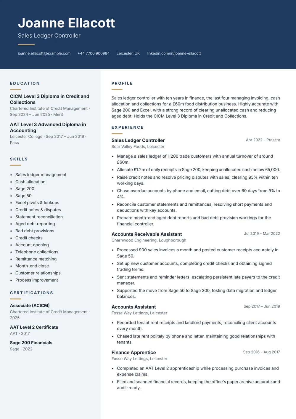Sales Ledger Controller CV template