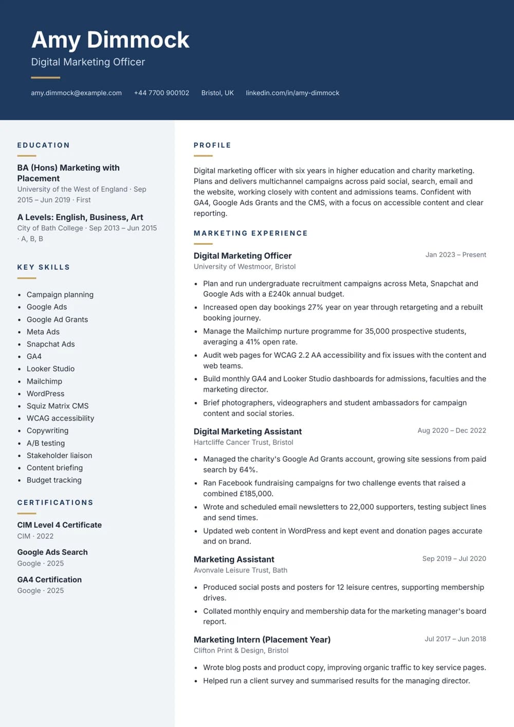 Digital Marketing Officer CV template