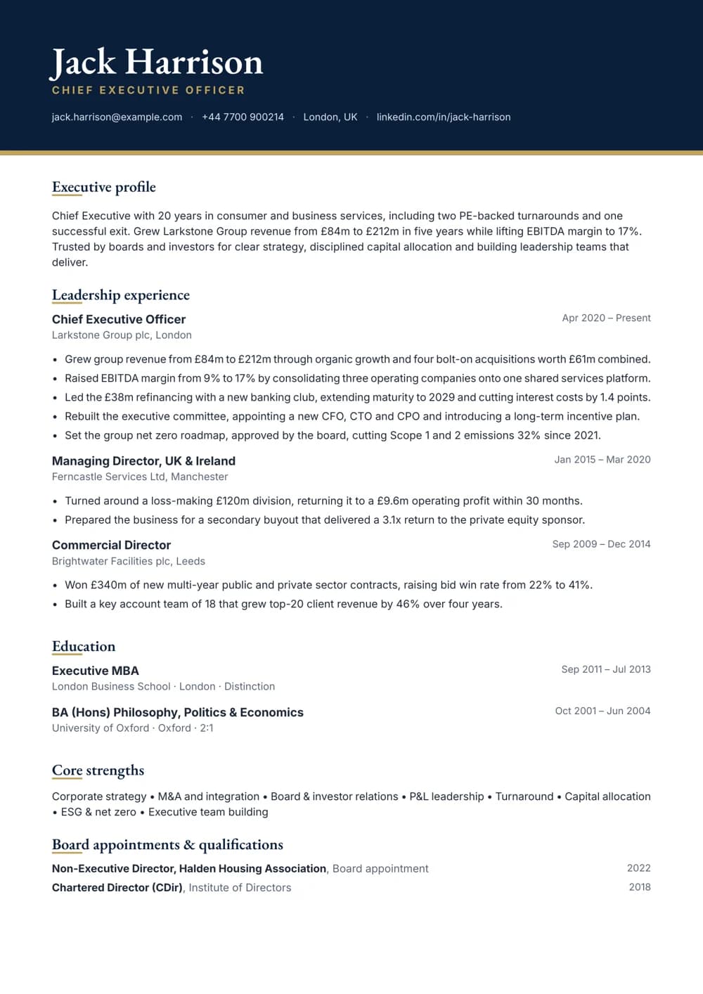free executive cv template chief executive officer