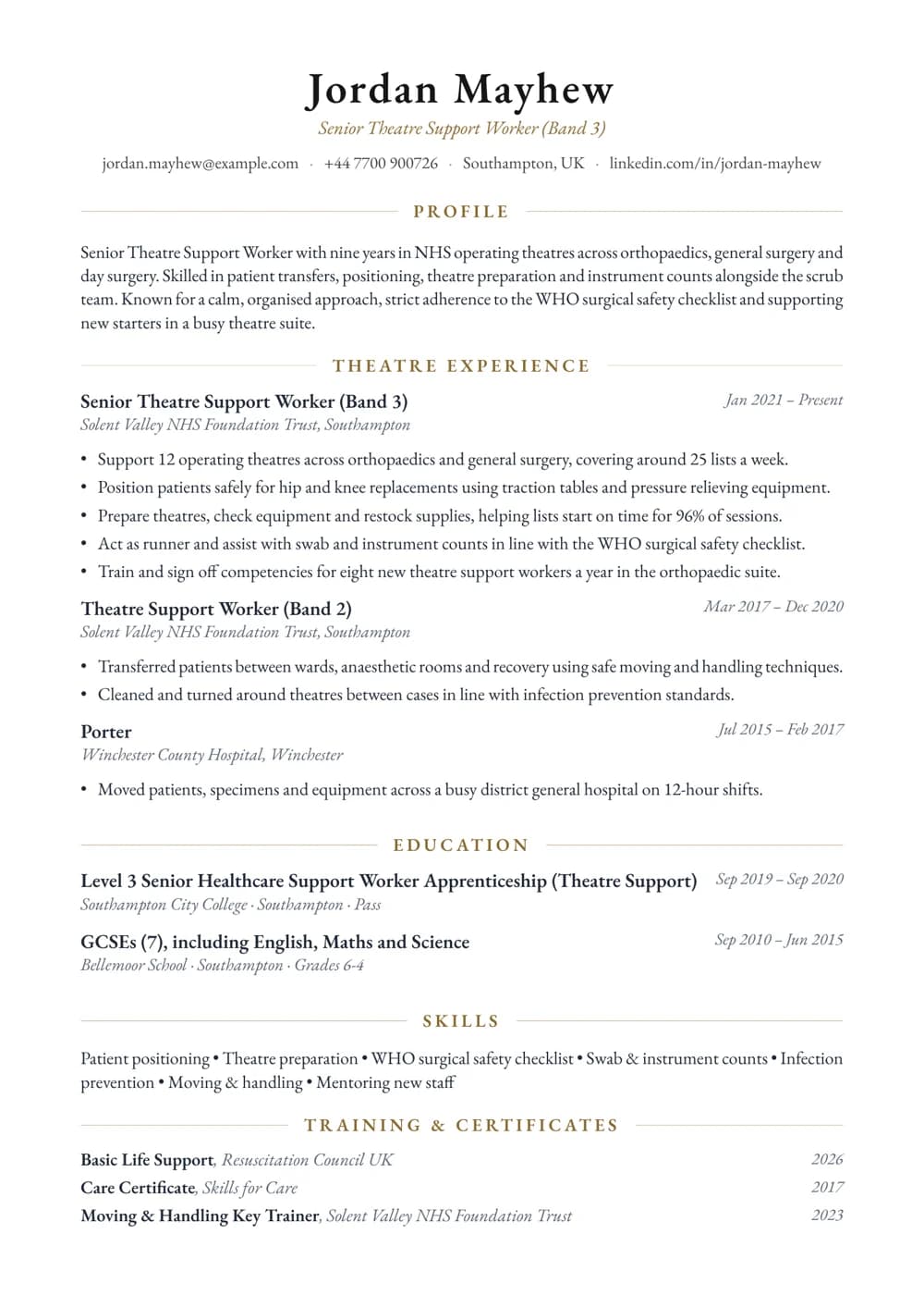 Theatre Support Worker CV template