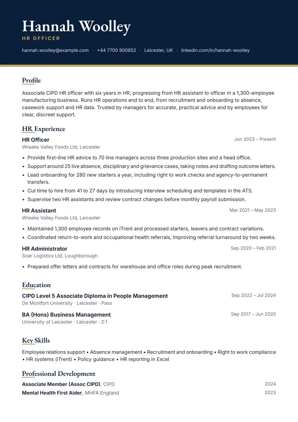 hr officer cv template