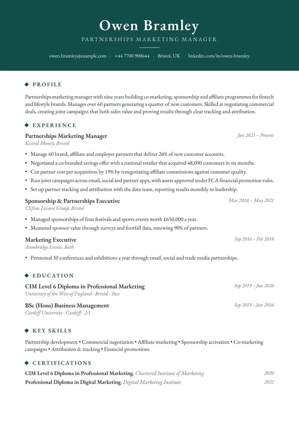 partnerships marketing manager cv template
