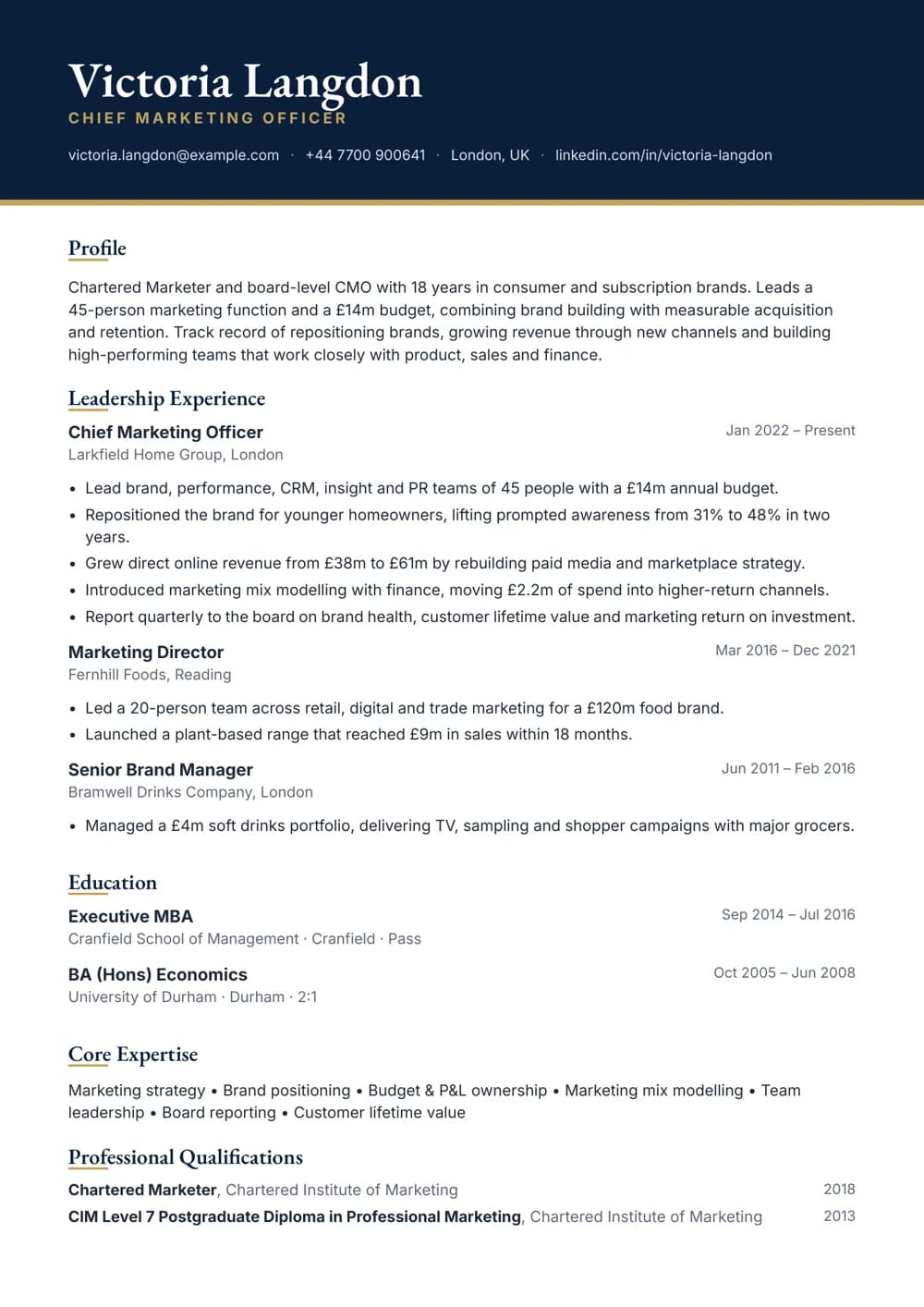 chief marketing officer cv template