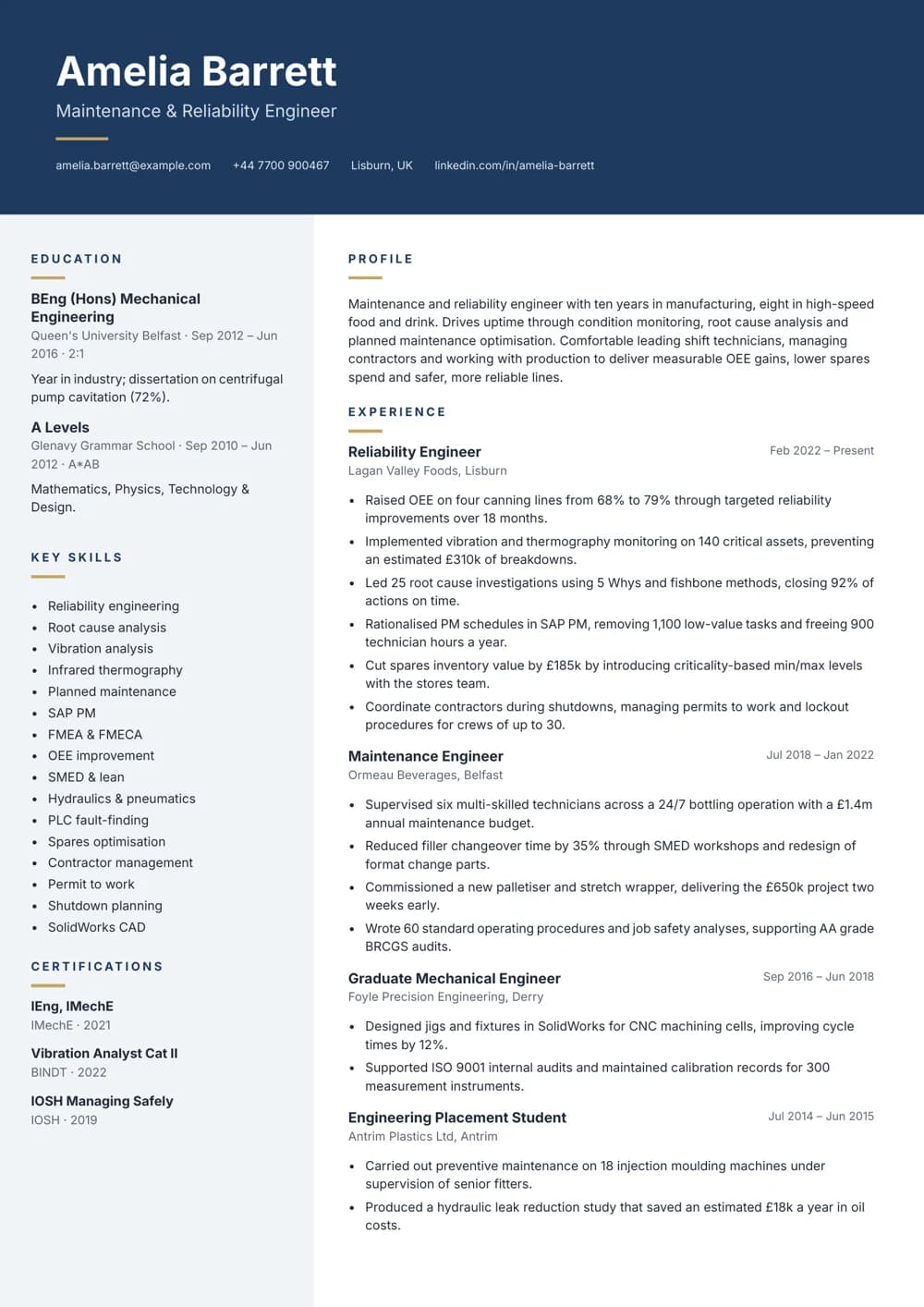 Reliability Engineer CV template