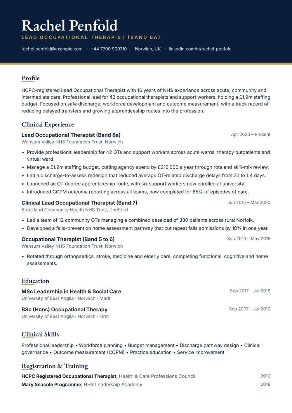 occupational therapy lead cv template