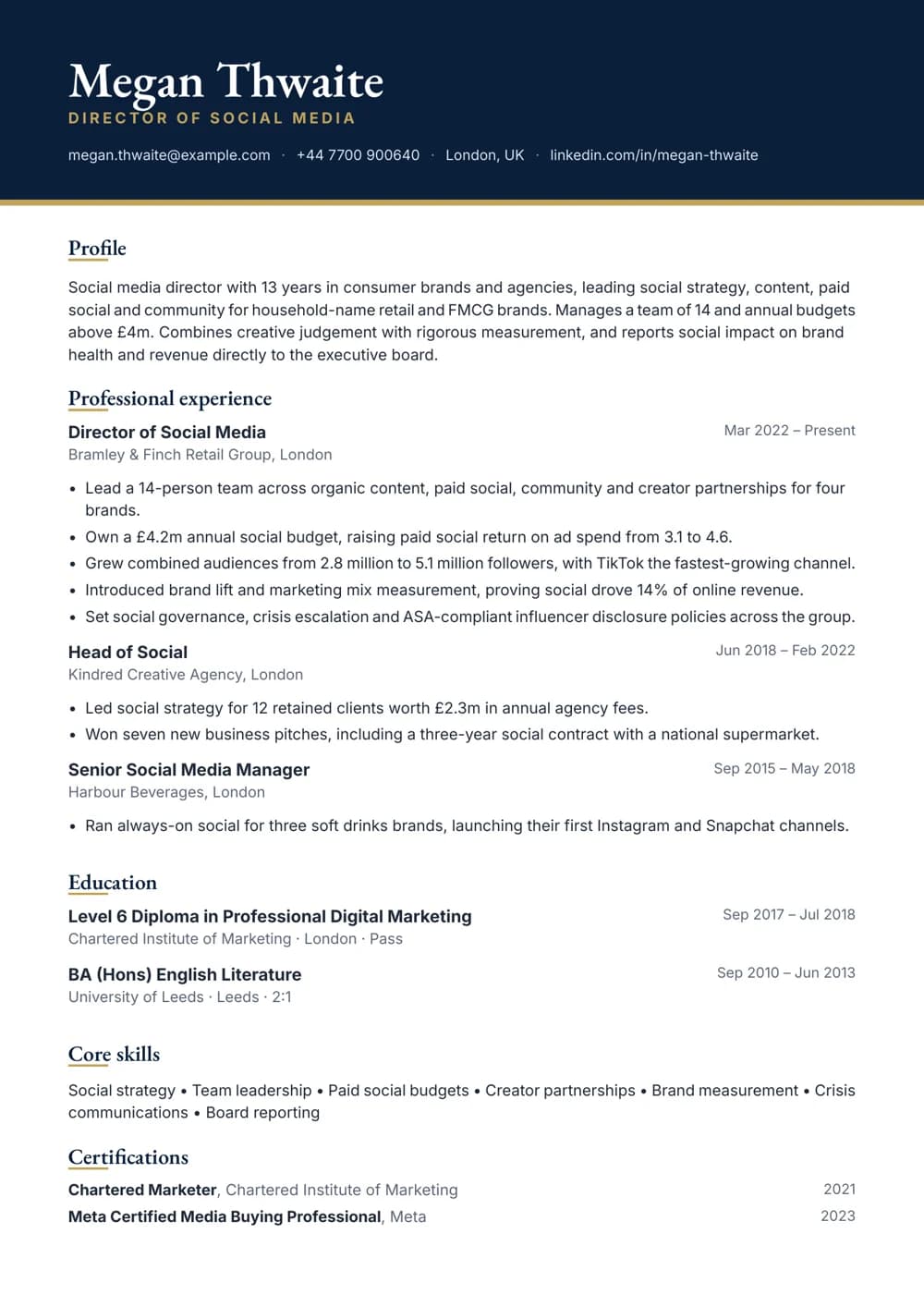 social media director cv template
