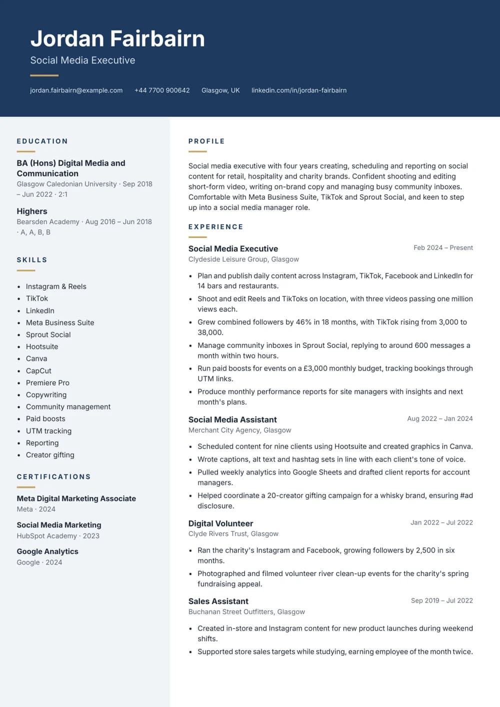 Social Media Executive CV template