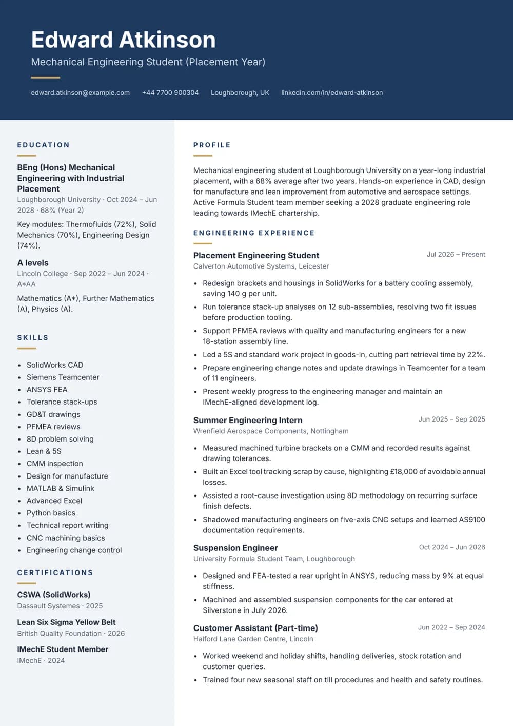 Placement Year Student CV template
