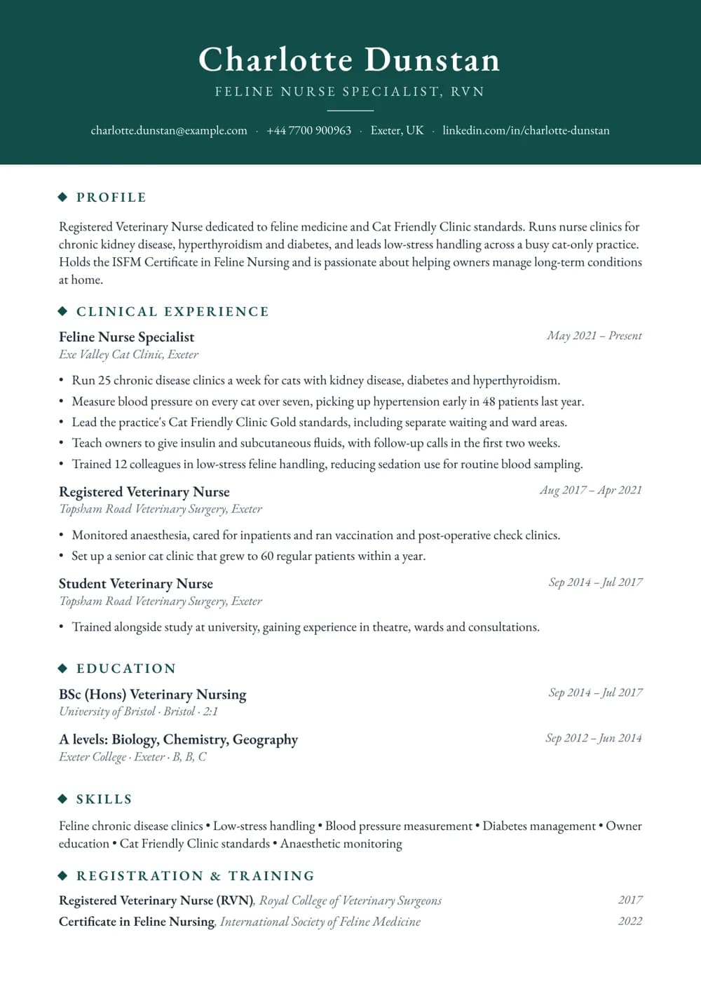 feline nurse specialist cv template
