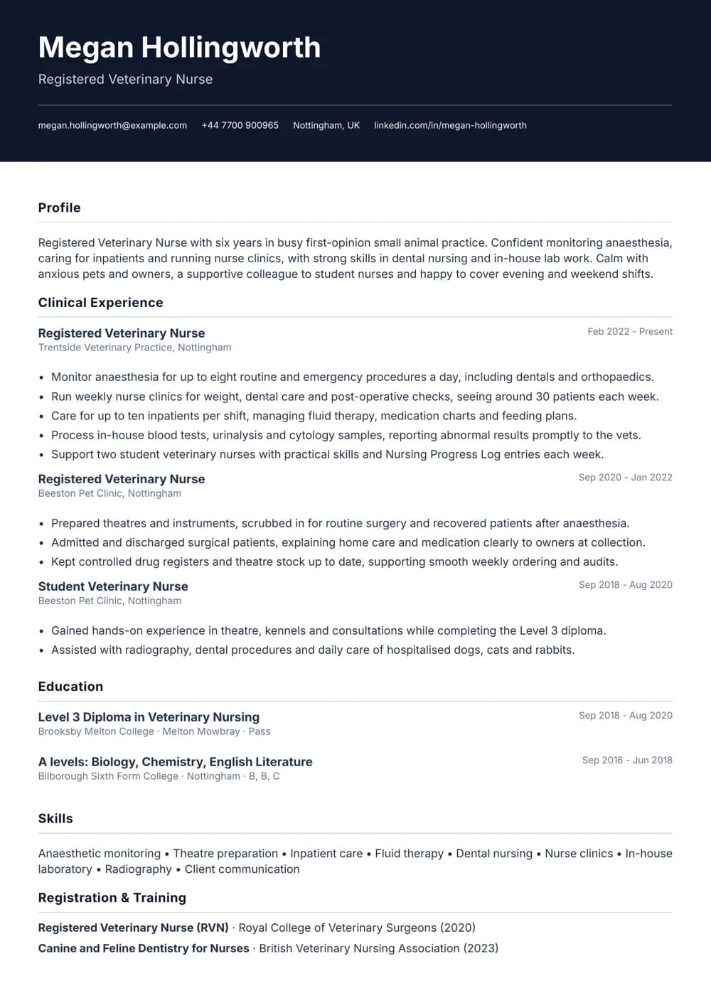 veterinary nurse (rvn) cv template
