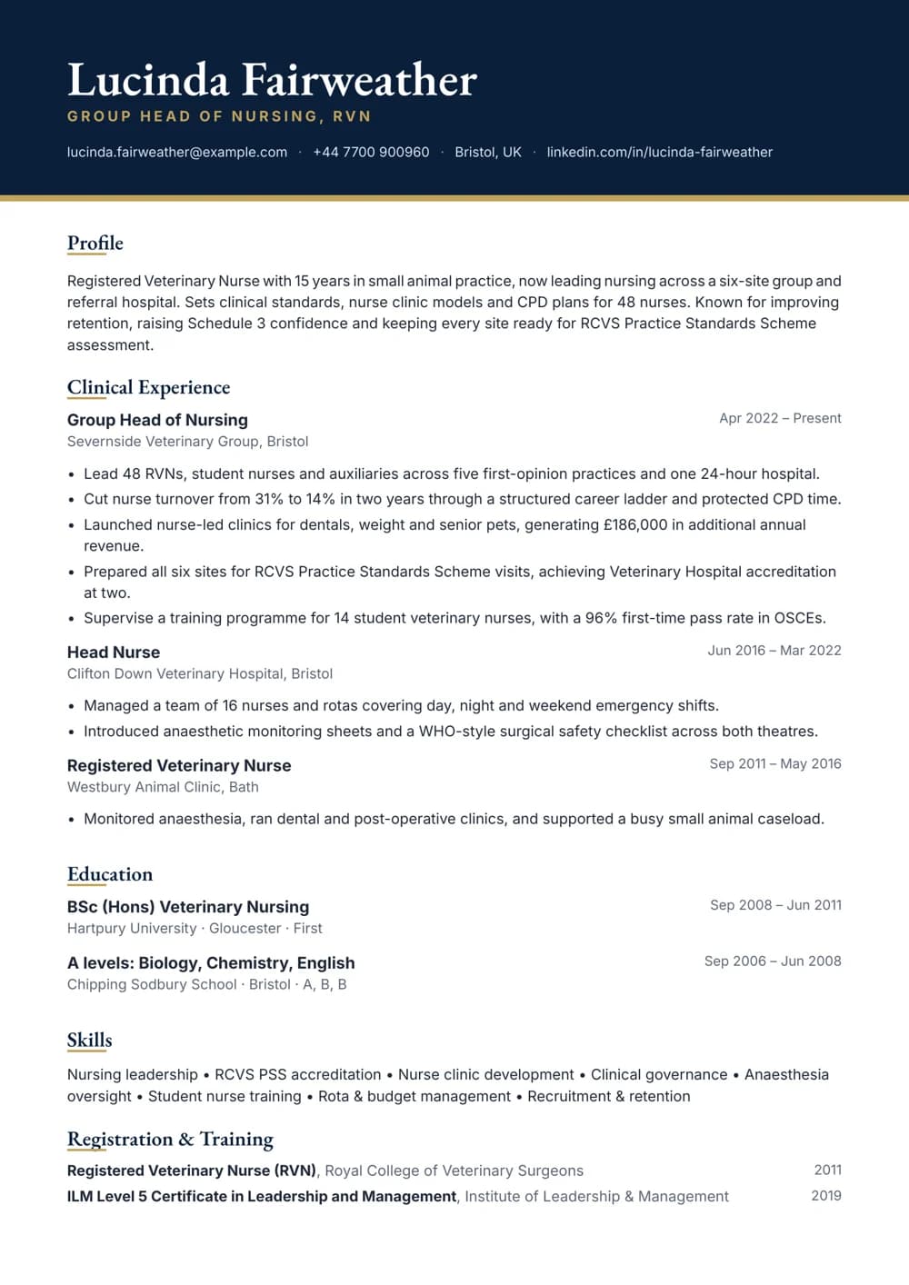 group head of nursing cv template