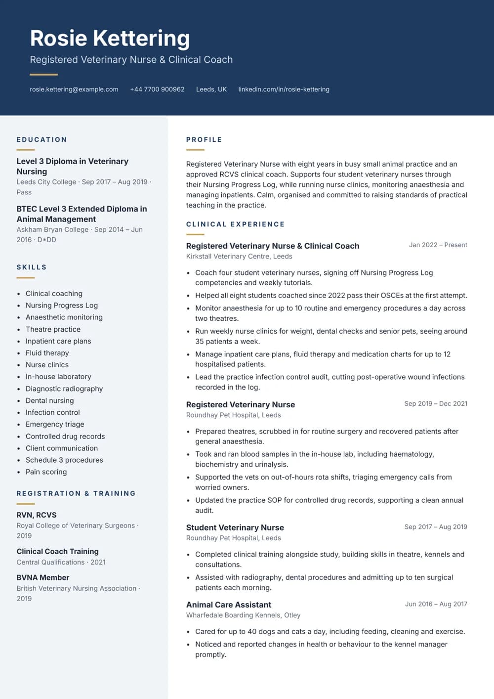 Clinical Coach RVN CV template