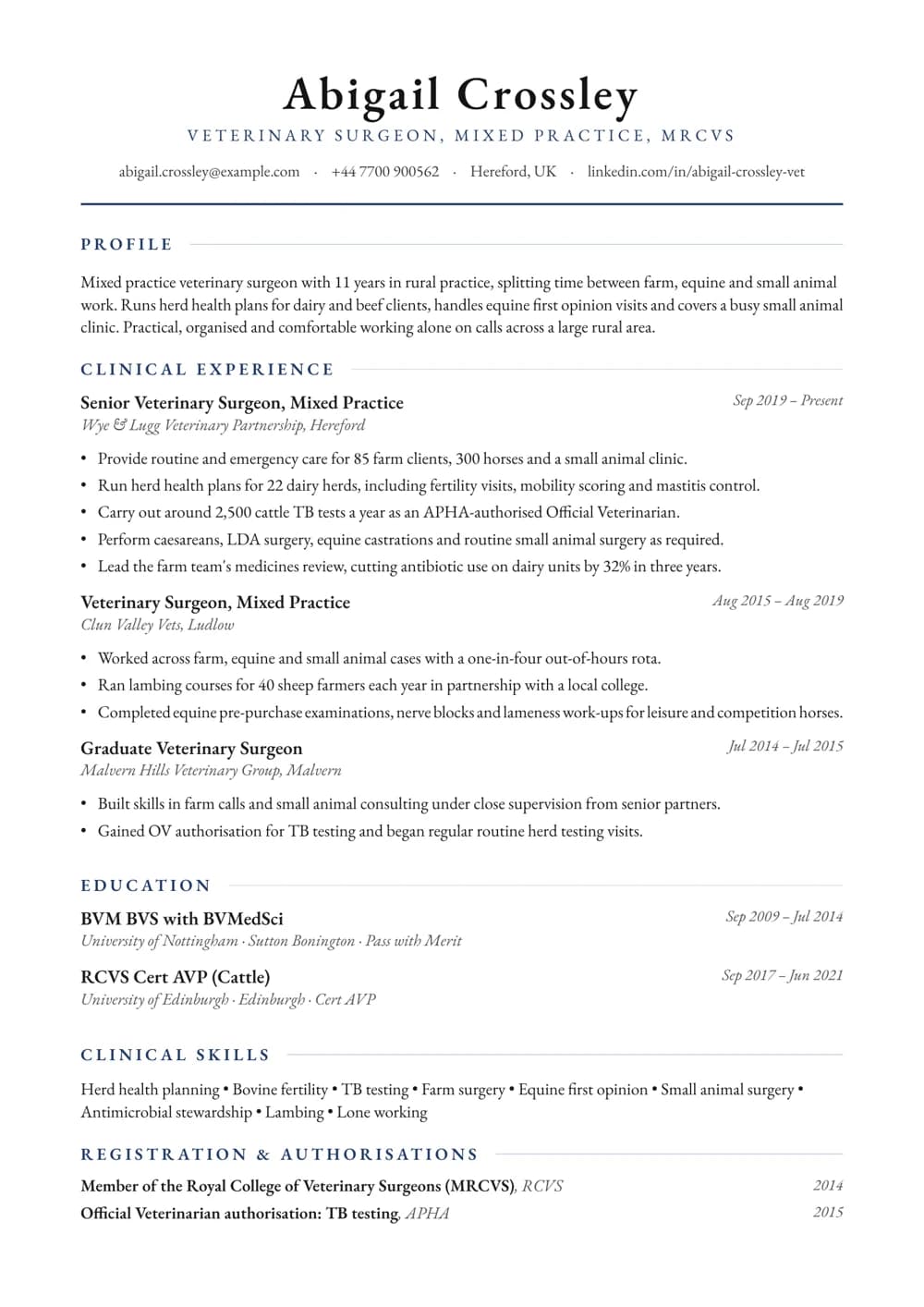 Mixed Practice Vet CV template