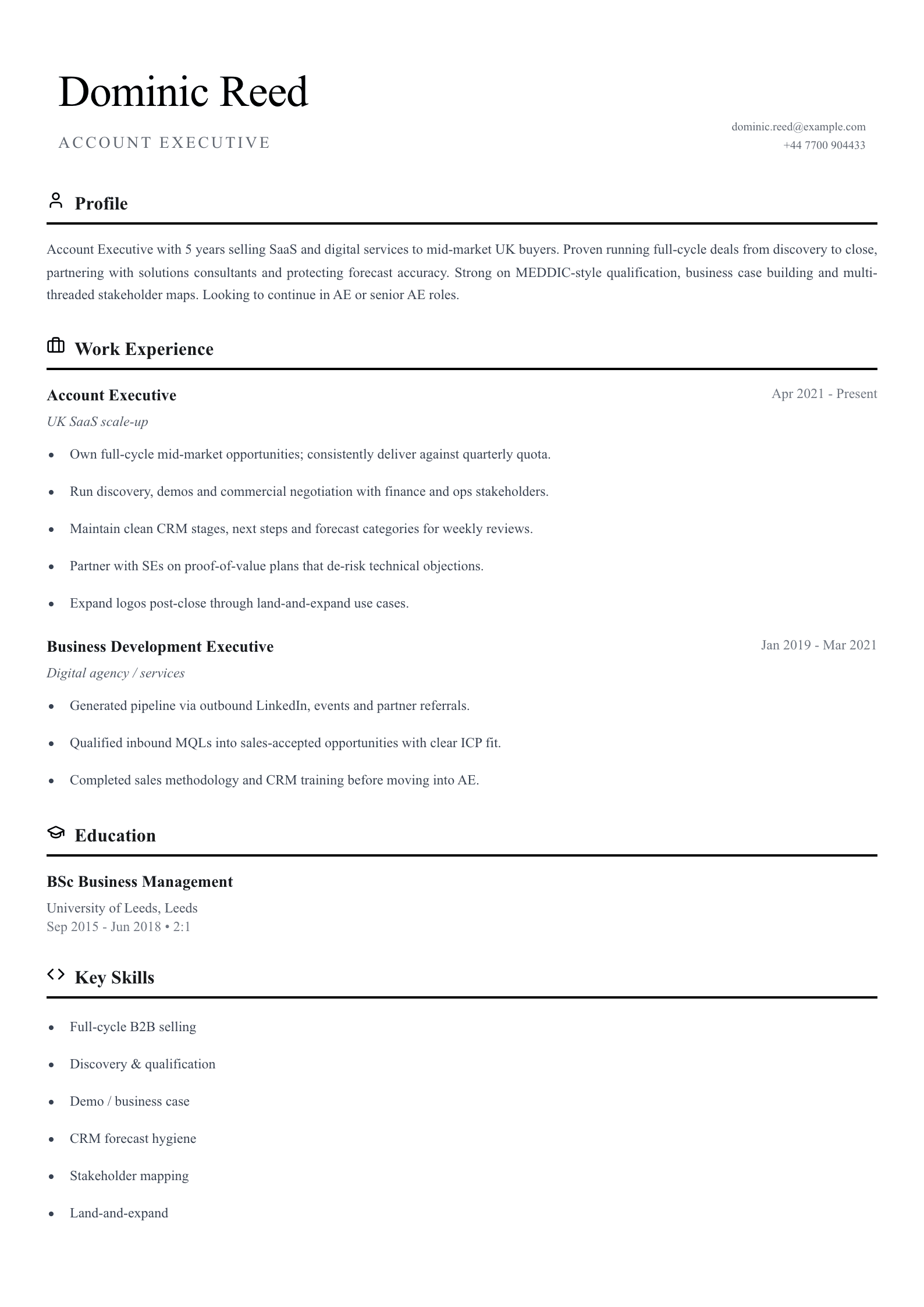 account executive cv template