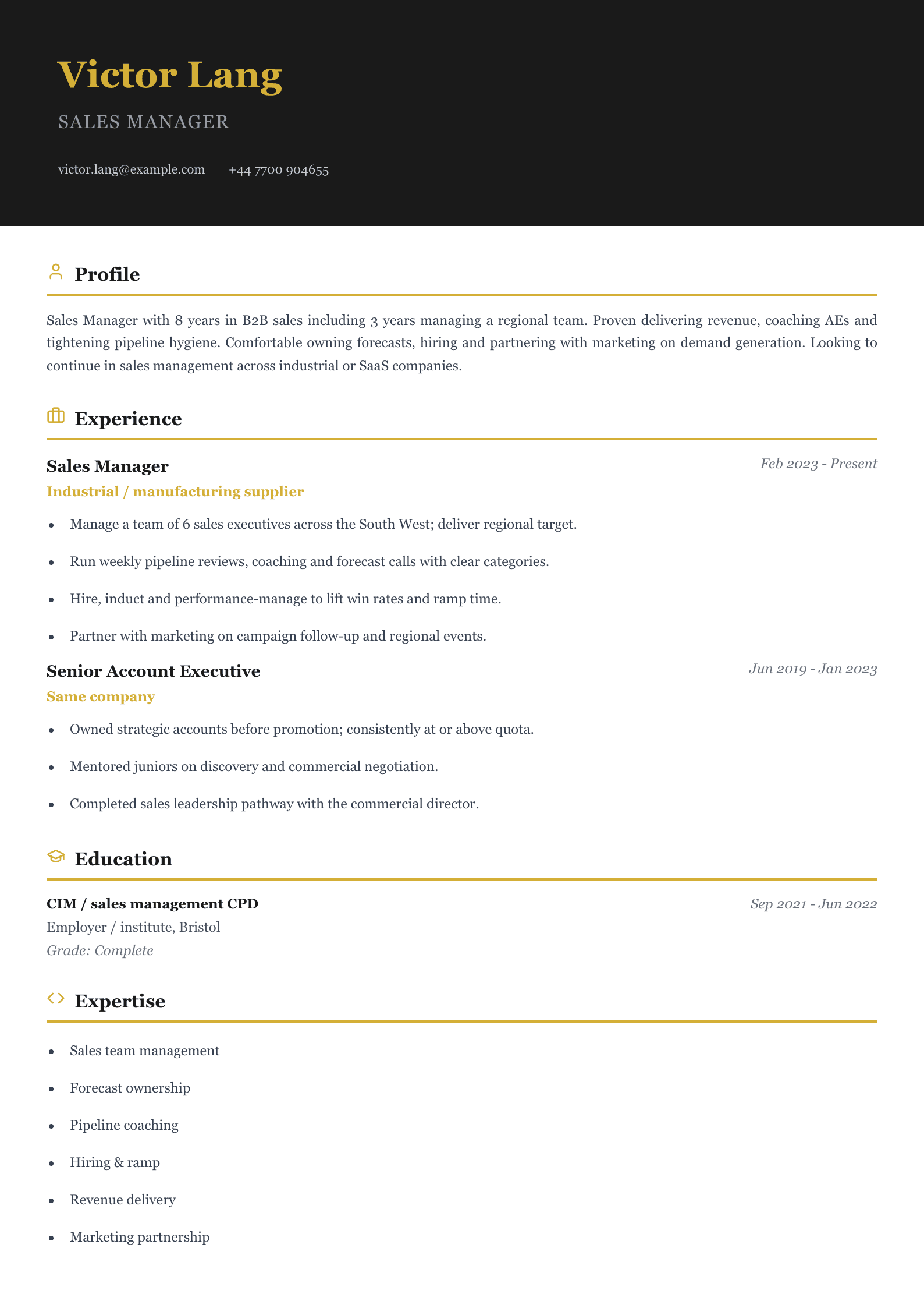 sales manager cv template