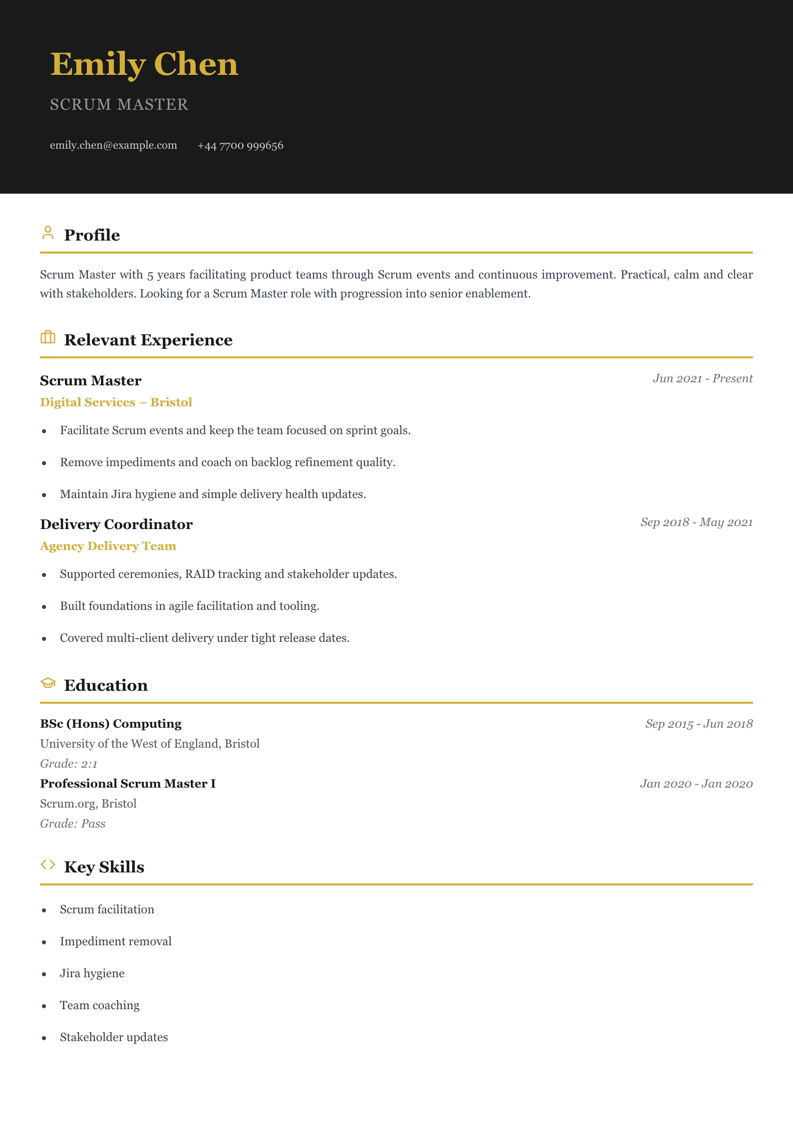 scrum master CV template lean