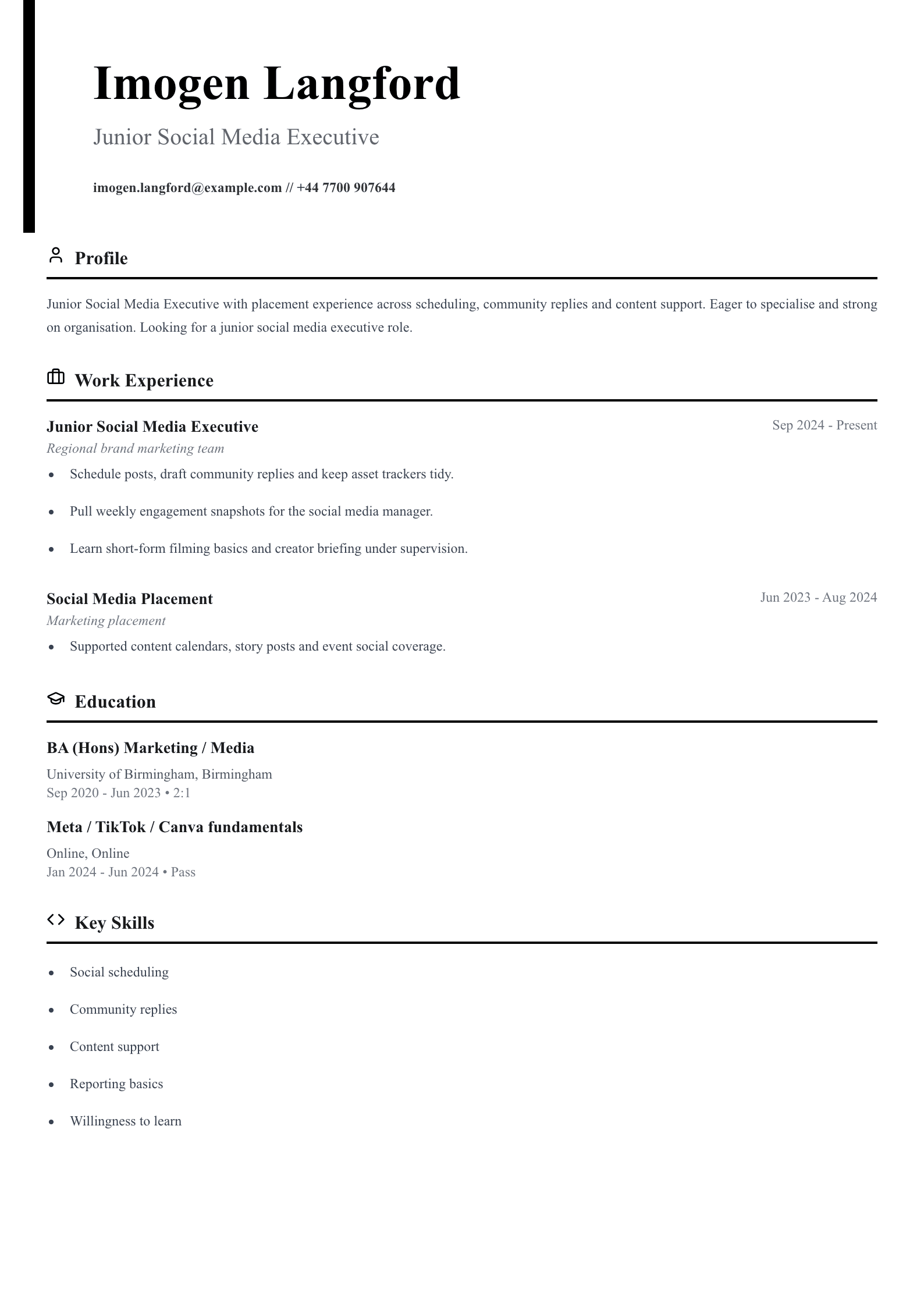 junior social media executive CV template