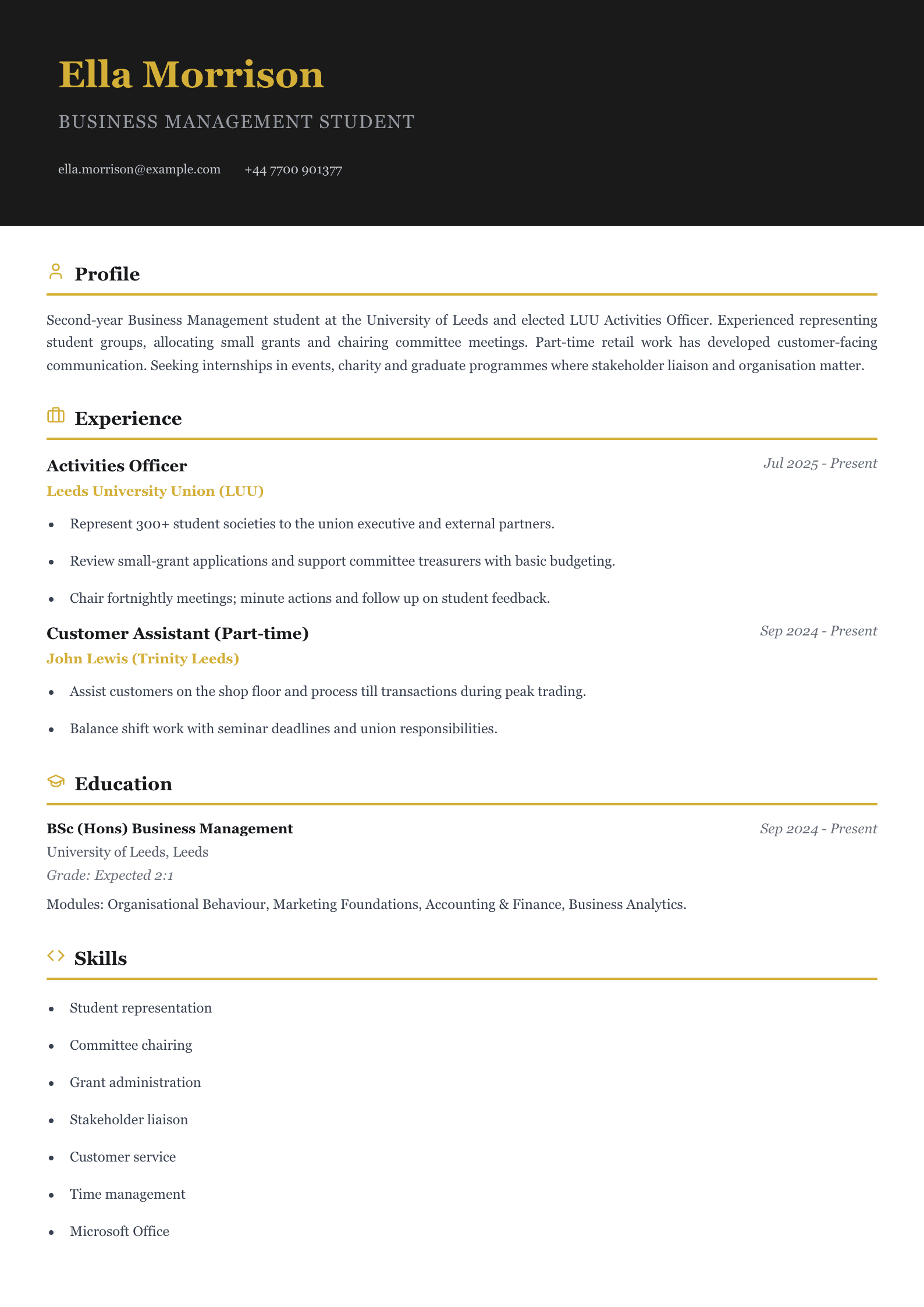 student union officer cv template
