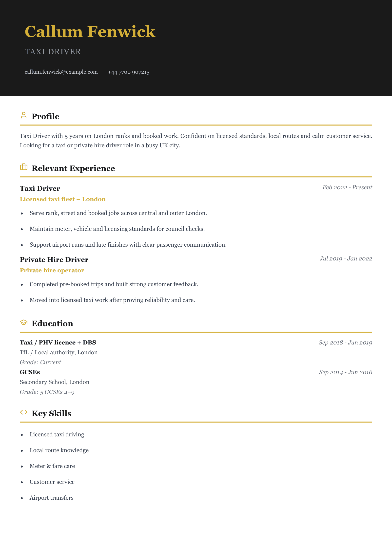 taxi driver CV template