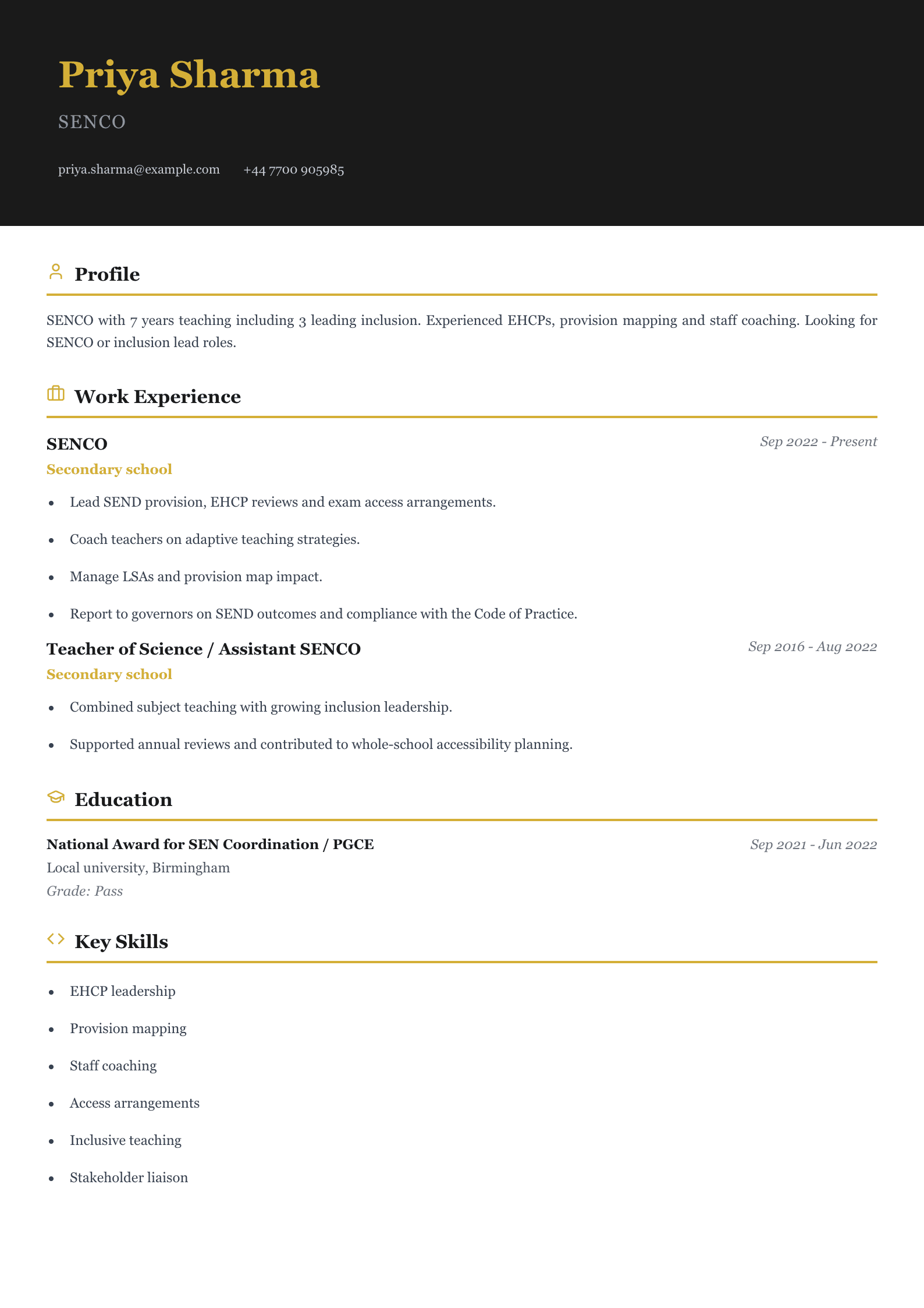 senco cv template