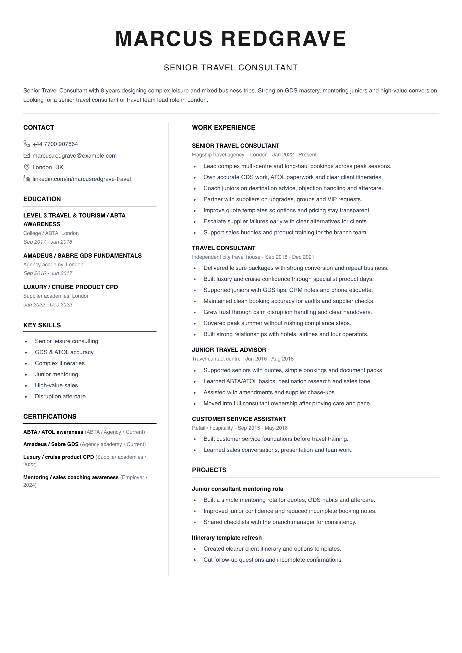 senior travel consultant CV template