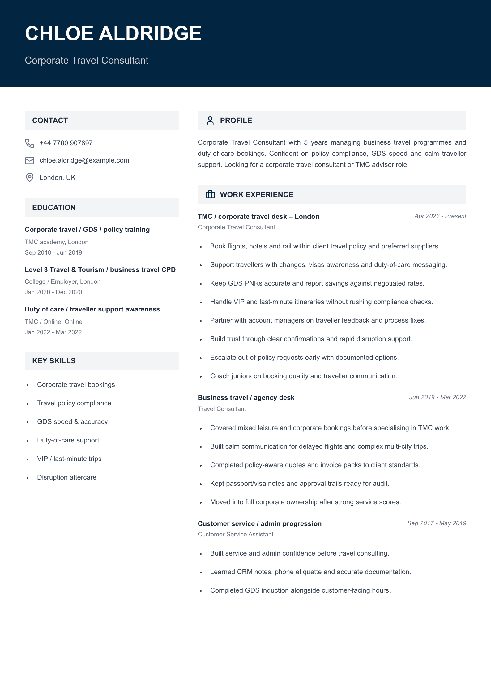 corporate travel consultant CV template