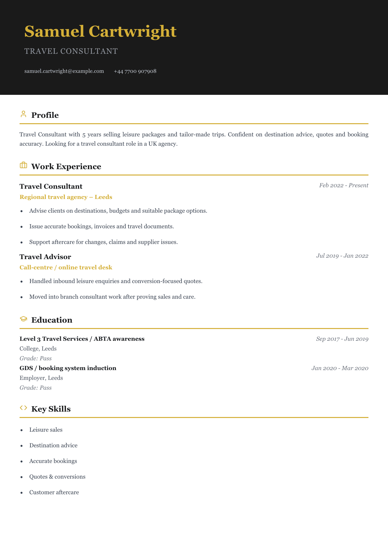 travel consultant CV template