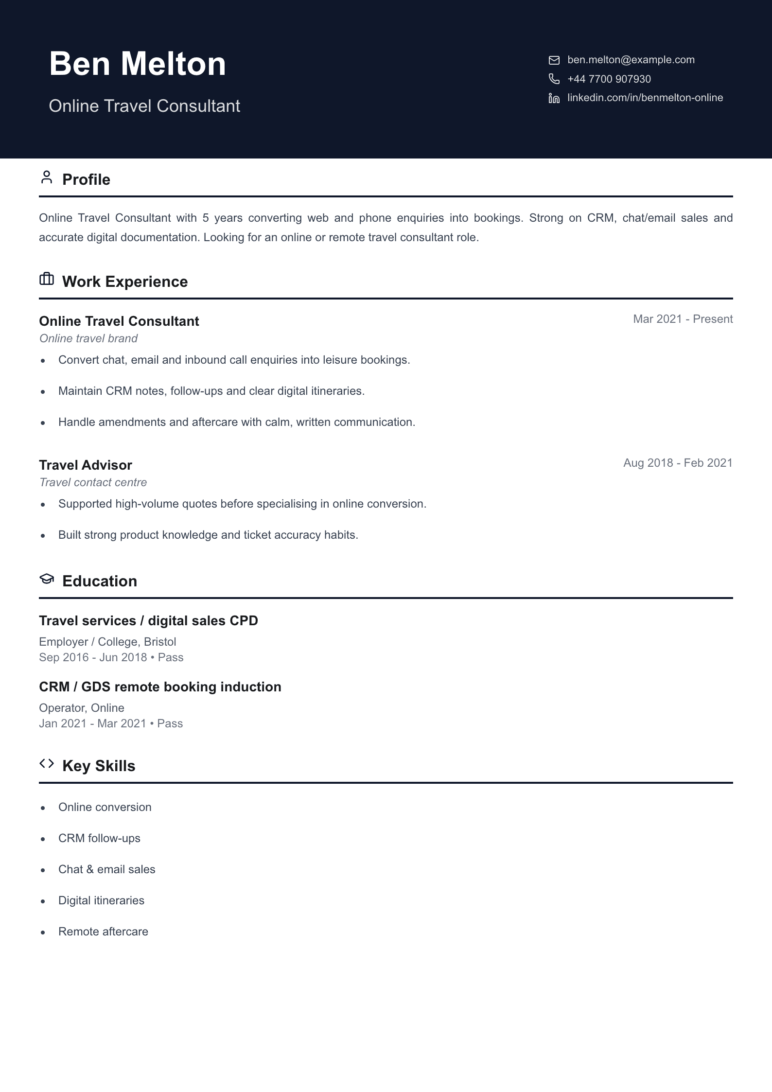online travel consultant CV template