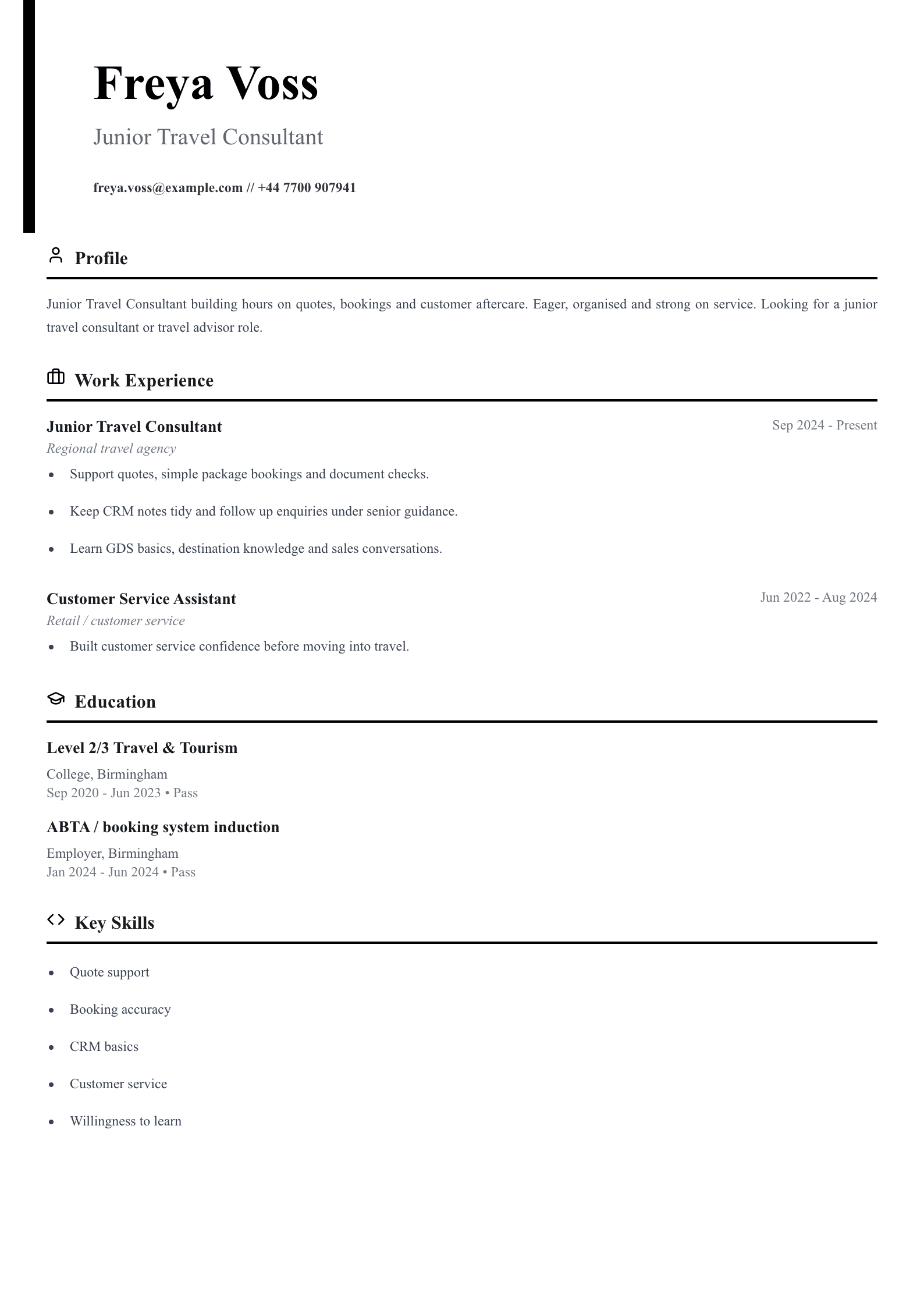 junior travel consultant CV template