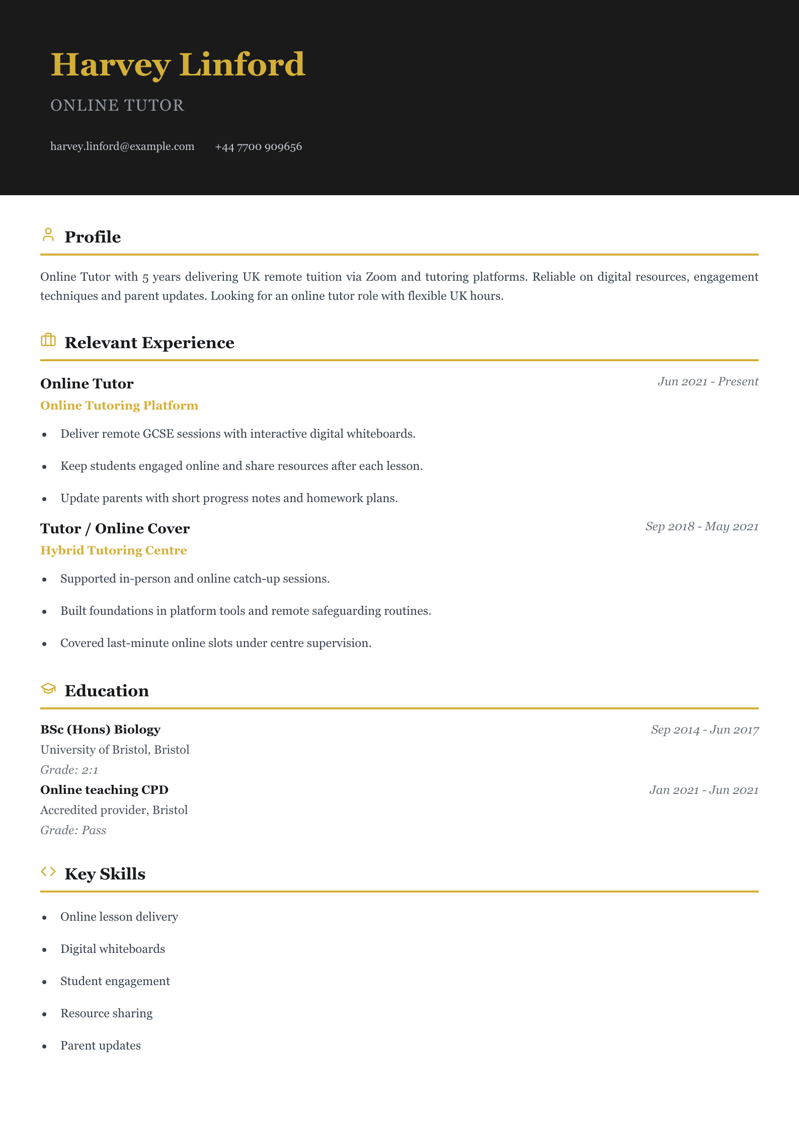 online tutor CV template